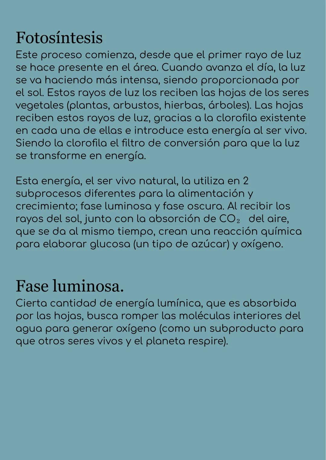 # La fotosíntesis y
su importancia
## Historia de la fotosíntesis
El proceso de fotosíntesis es tan ancestral que estuvo
mucho antes de lo