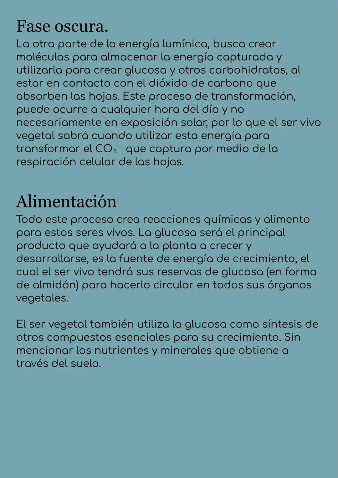 # La fotosíntesis y
su importancia
## Historia de la fotosíntesis
El proceso de fotosíntesis es tan ancestral que estuvo
mucho antes de lo