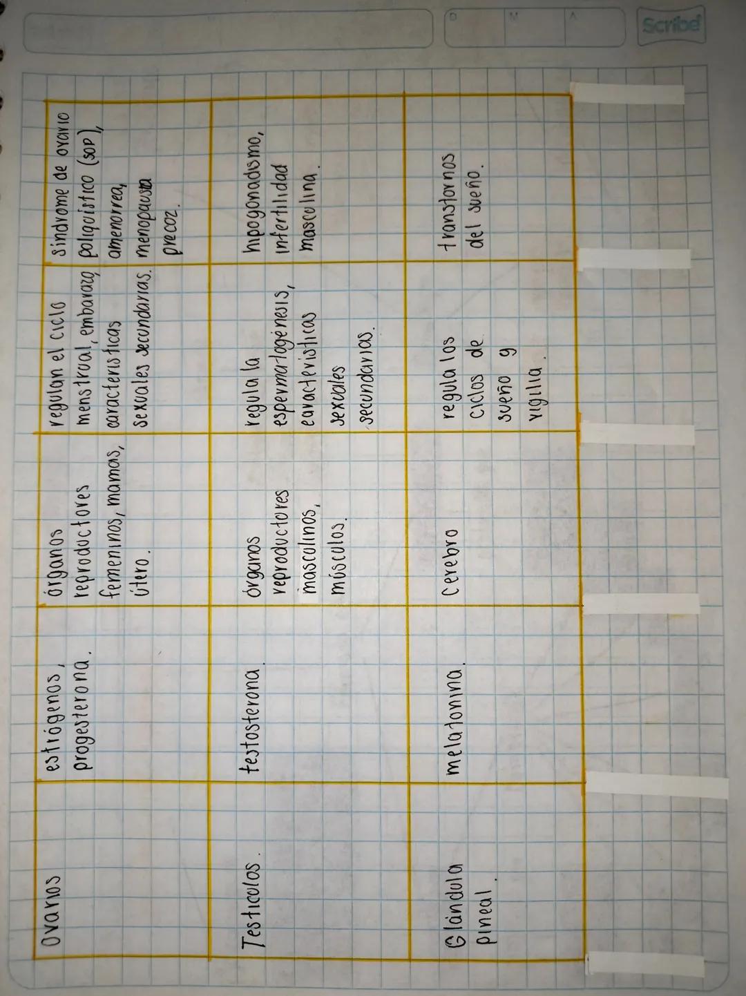 # sistema endocrino
Glándola Hormonas
órgano
blanco
Función de la Principales
hormon a enfermedades.
Hipotala mo hormona liberadara Hip