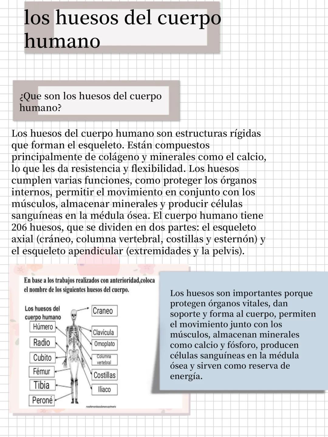 # los huesos del cuerpo
humano
¿Que son los huesos del cuerpo
humano?
Los huesos del cuerpo humano son estructuras rígidas
que forman el e