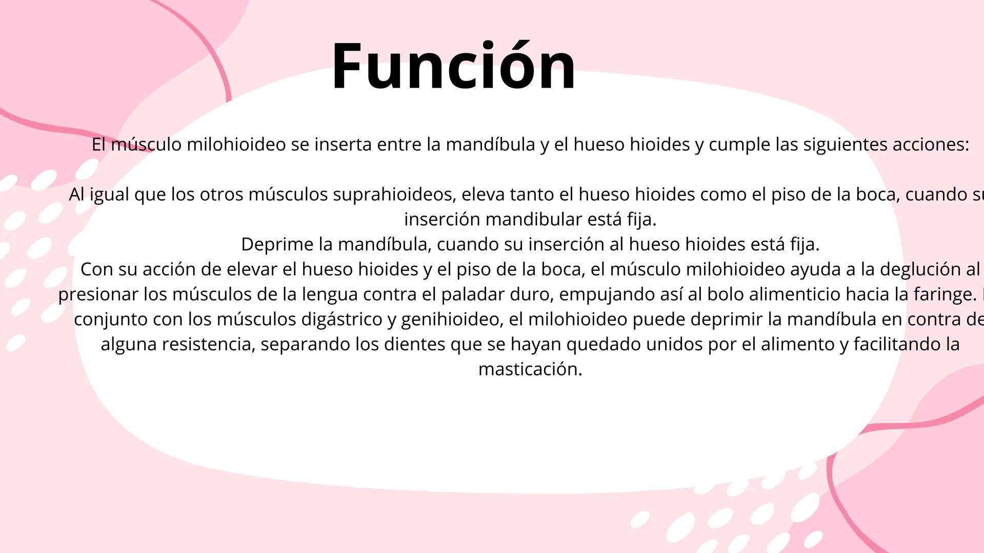 # Músculos suprahioideos
Fernando Adair De La Rosa Guevara
odontologia.
Anatomia humana. Los músculos suprahioideos son cuatro músculos s