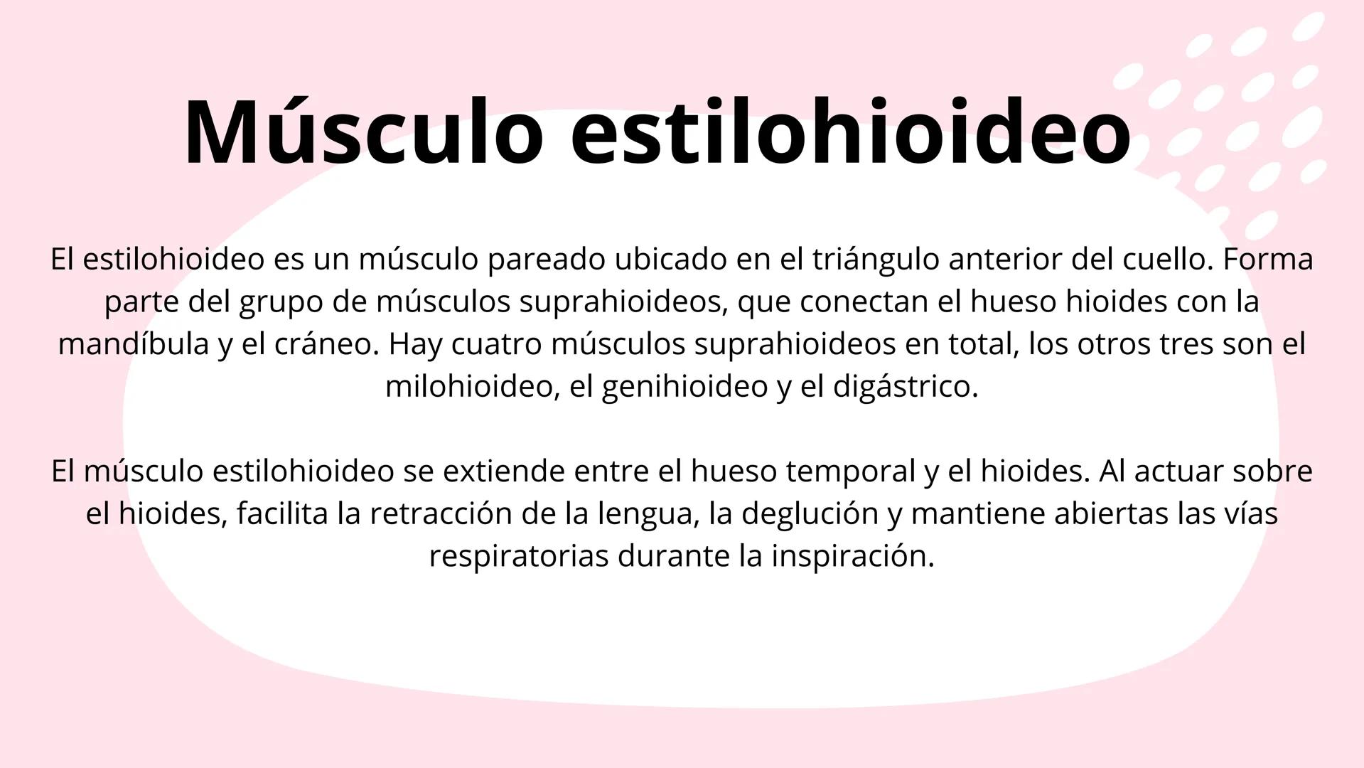 # Músculos suprahioideos
Fernando Adair De La Rosa Guevara
odontologia.
Anatomia humana. Los músculos suprahioideos son cuatro músculos s