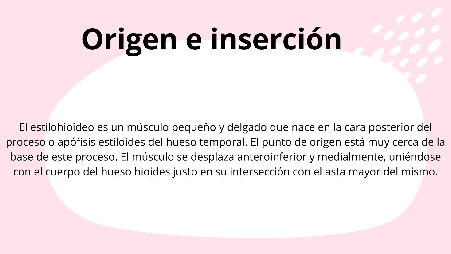 # Músculos suprahioideos
Fernando Adair De La Rosa Guevara
odontologia.
Anatomia humana. Los músculos suprahioideos son cuatro músculos s
