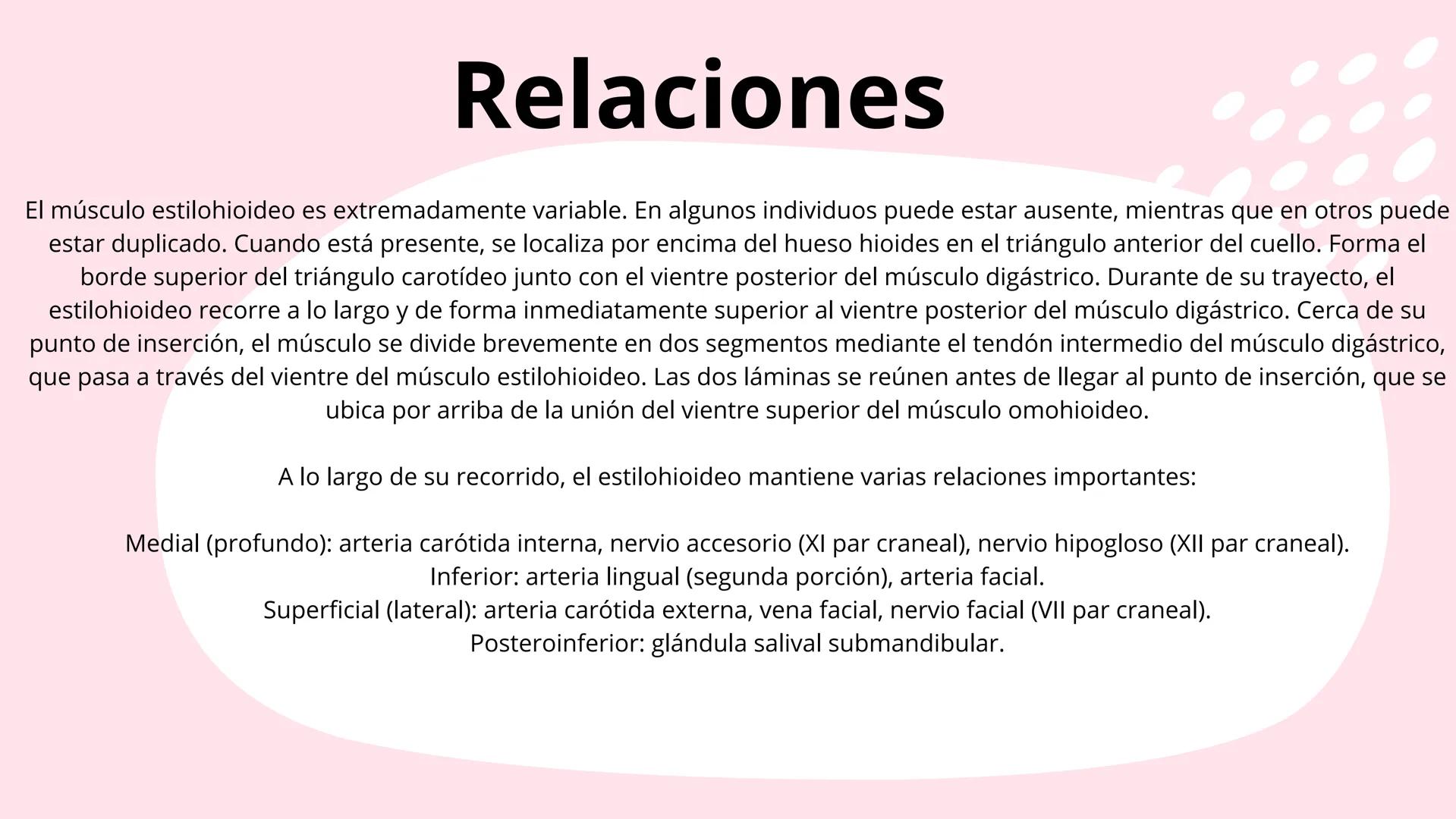 # Músculos suprahioideos
Fernando Adair De La Rosa Guevara
odontologia.
Anatomia humana. Los músculos suprahioideos son cuatro músculos s