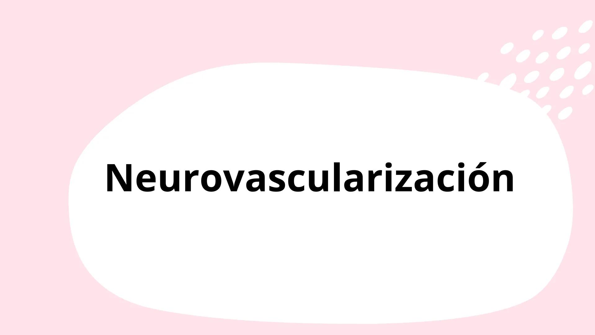 # Músculos suprahioideos
Fernando Adair De La Rosa Guevara
odontologia.
Anatomia humana. Los músculos suprahioideos son cuatro músculos s