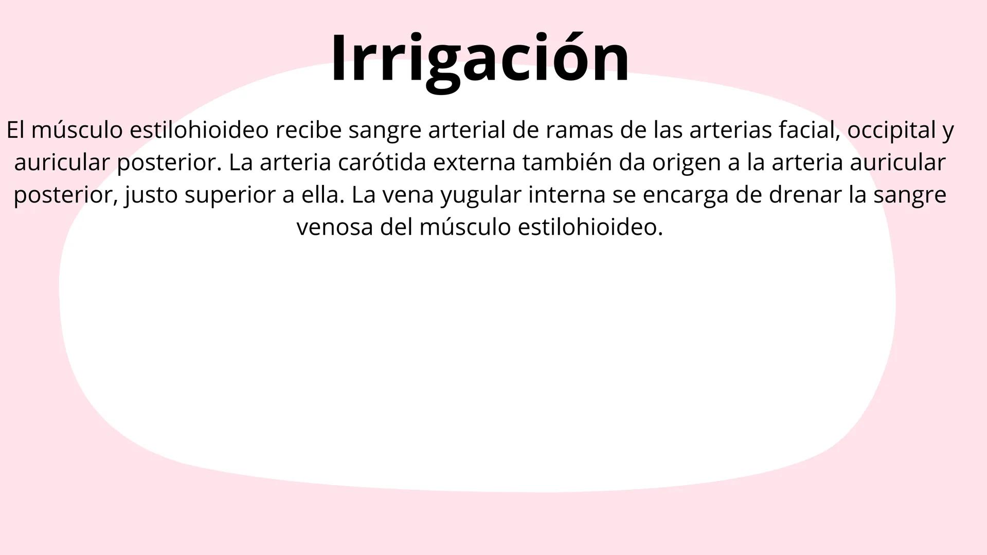 # Músculos suprahioideos
Fernando Adair De La Rosa Guevara
odontologia.
Anatomia humana. Los músculos suprahioideos son cuatro músculos s