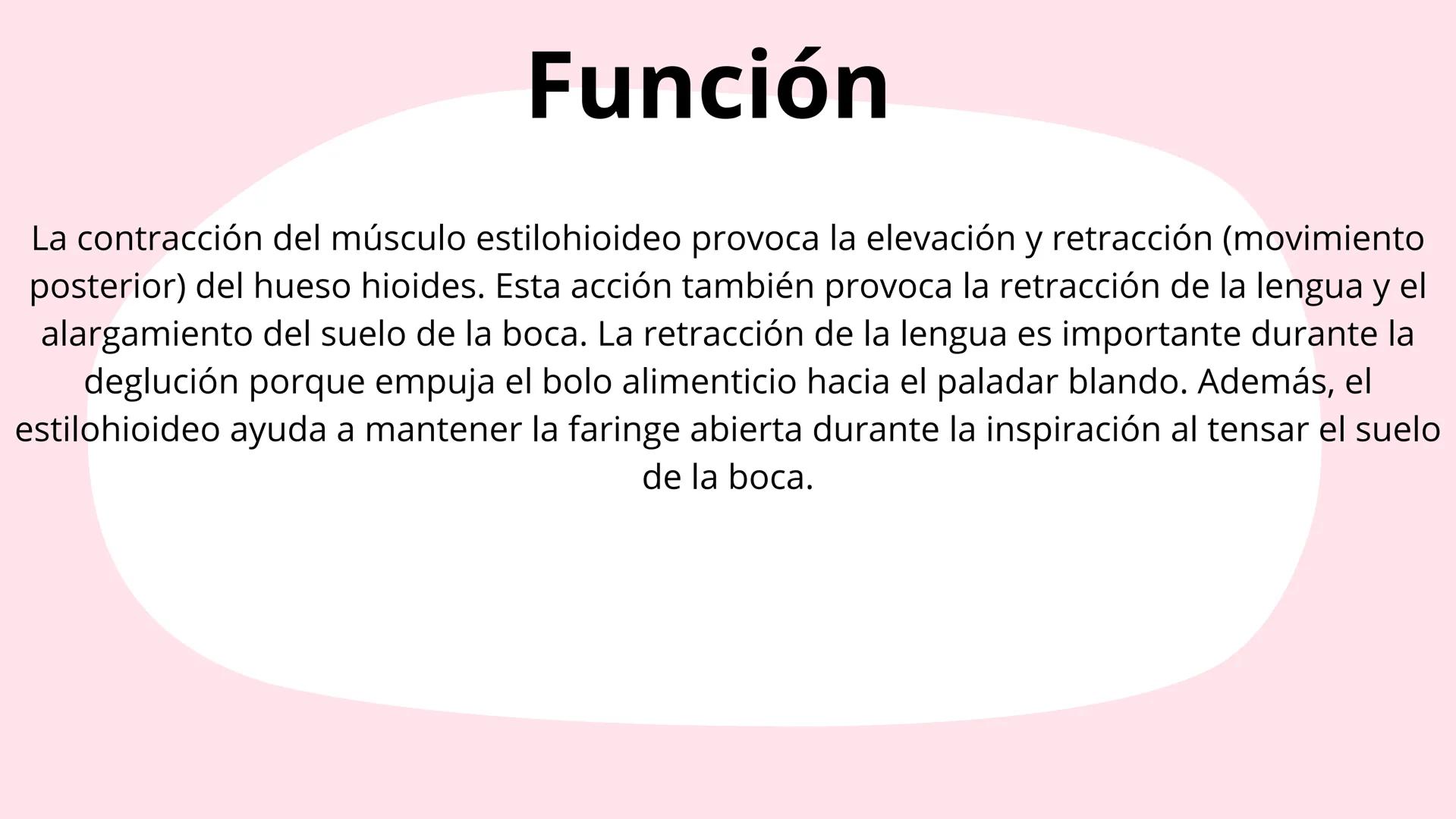 # Músculos suprahioideos
Fernando Adair De La Rosa Guevara
odontologia.
Anatomia humana. Los músculos suprahioideos son cuatro músculos s