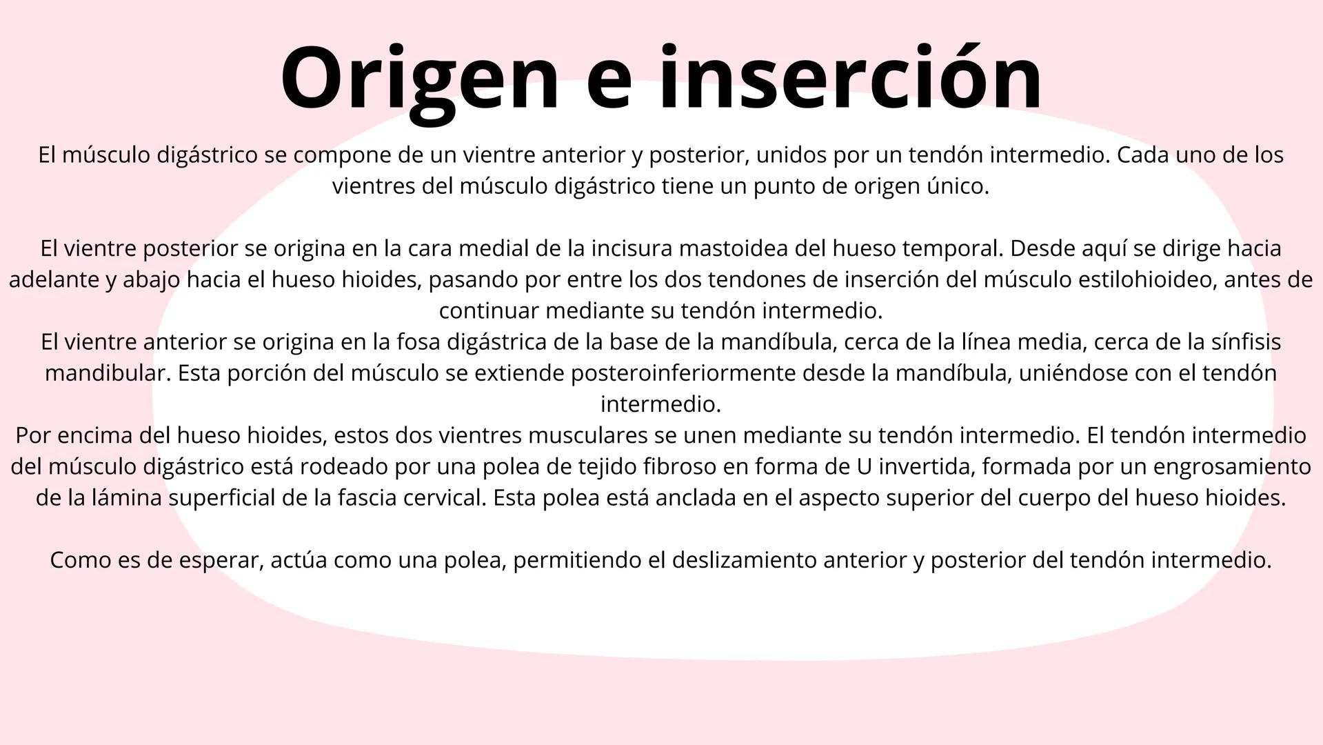 # Músculos suprahioideos
Fernando Adair De La Rosa Guevara
odontologia.
Anatomia humana. Los músculos suprahioideos son cuatro músculos s