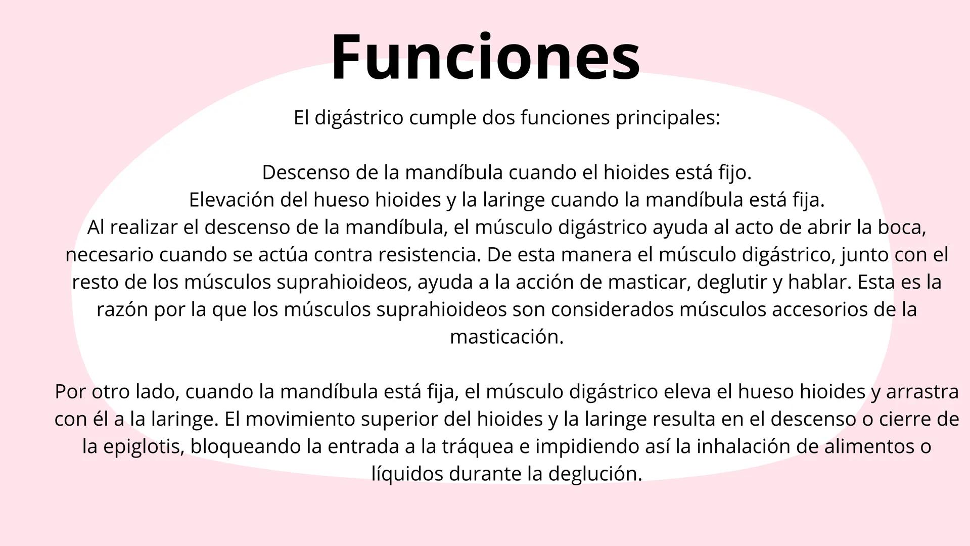 # Músculos suprahioideos
Fernando Adair De La Rosa Guevara
odontologia.
Anatomia humana. Los músculos suprahioideos son cuatro músculos s