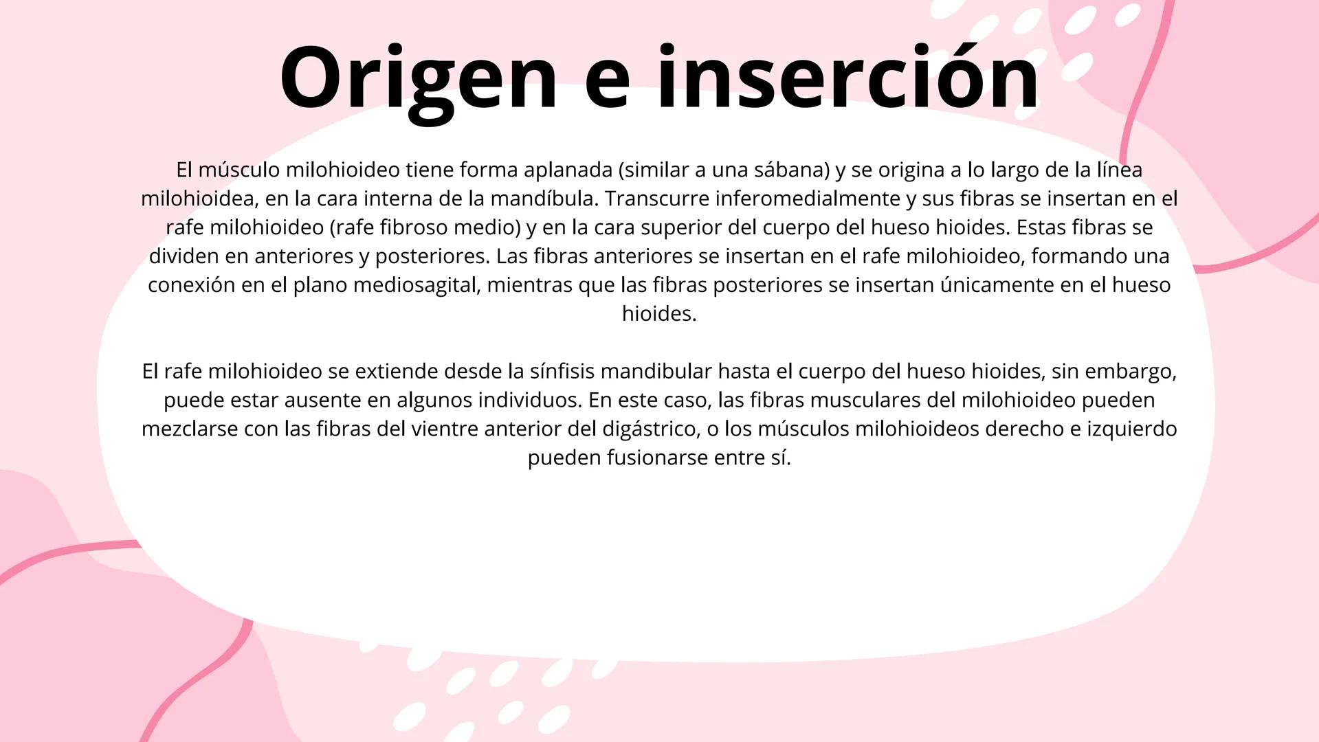 # Músculos suprahioideos
Fernando Adair De La Rosa Guevara
odontologia.
Anatomia humana. Los músculos suprahioideos son cuatro músculos s