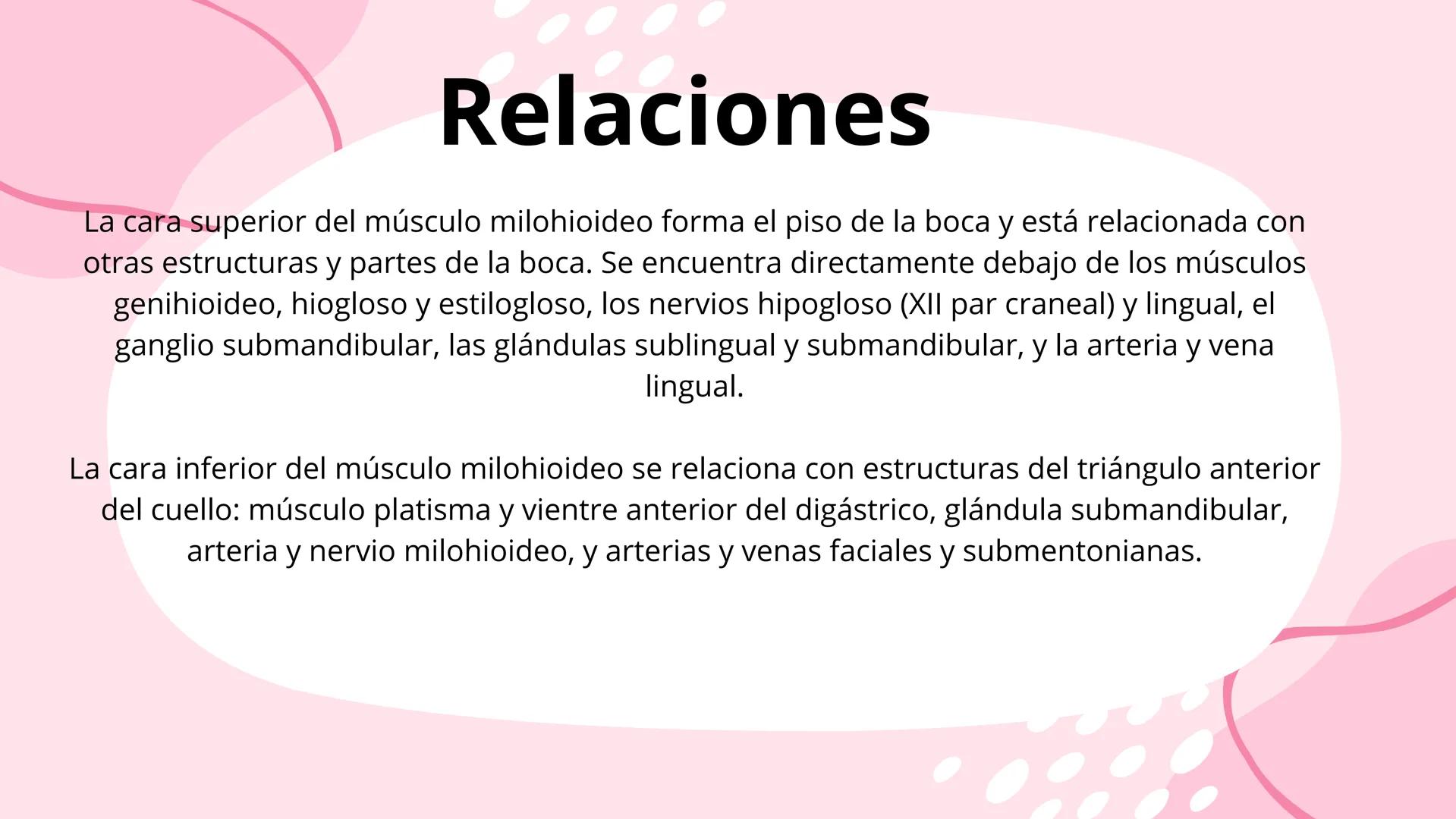 # Músculos suprahioideos
Fernando Adair De La Rosa Guevara
odontologia.
Anatomia humana. Los músculos suprahioideos son cuatro músculos s