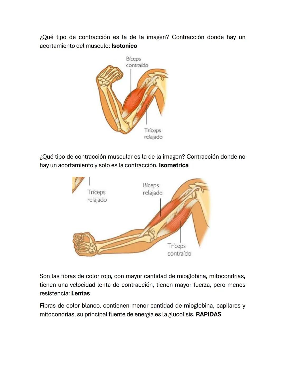Temario de Fisiología
Unidad 1: La Célula
Introducción a la célula
La célula es la unidad viva básica de un organismo.
Cada tipo de célula r