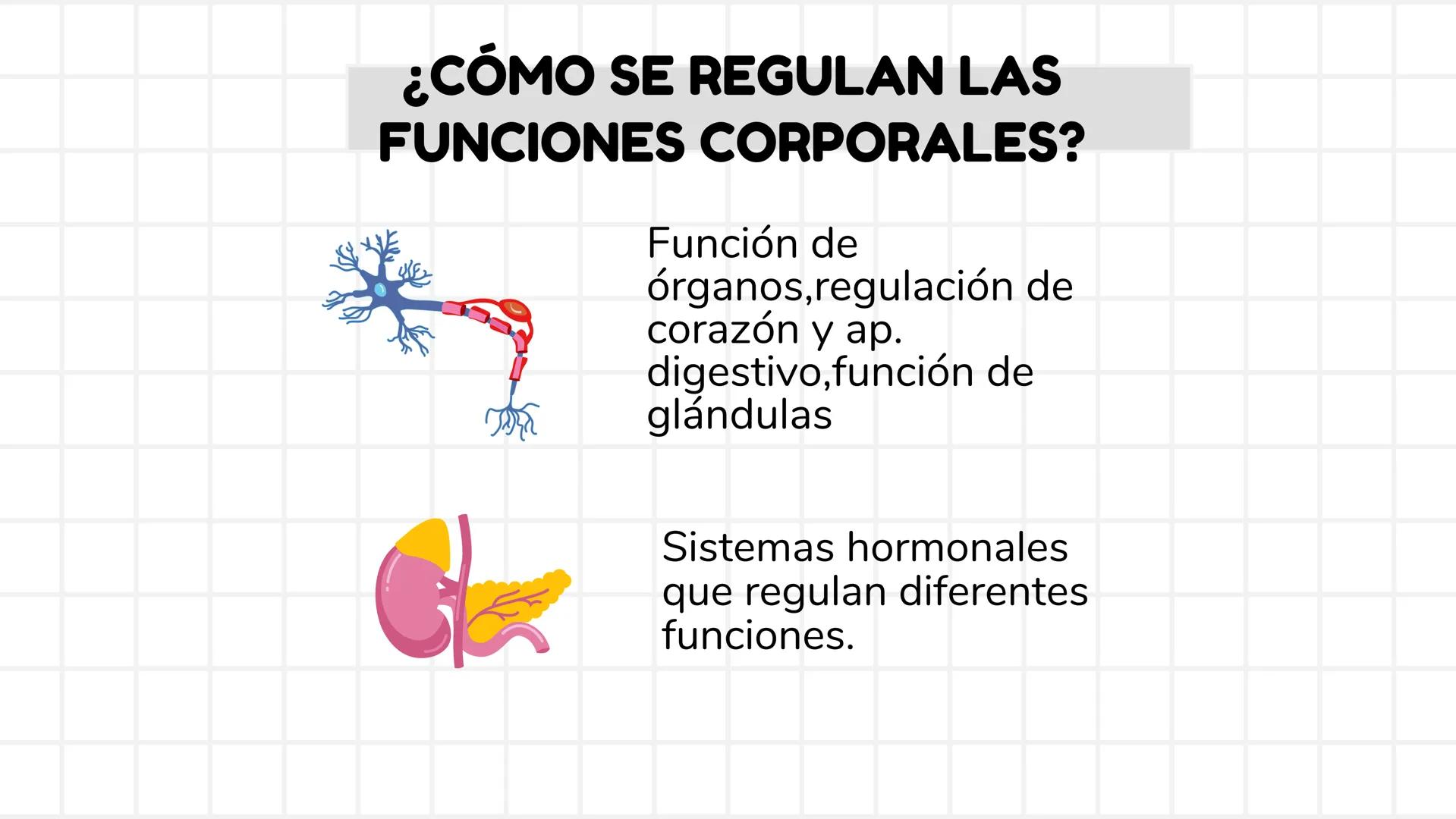 # UNIDAD 1
# T1. CÉLULA:
## SUS FUNCIONES Y ORGANIZACIÓN
## FUNCIONAL
FISIOLOGIA HUMANA # CONTENIDO
ORGANIZACION
Líquido
extracelular
L