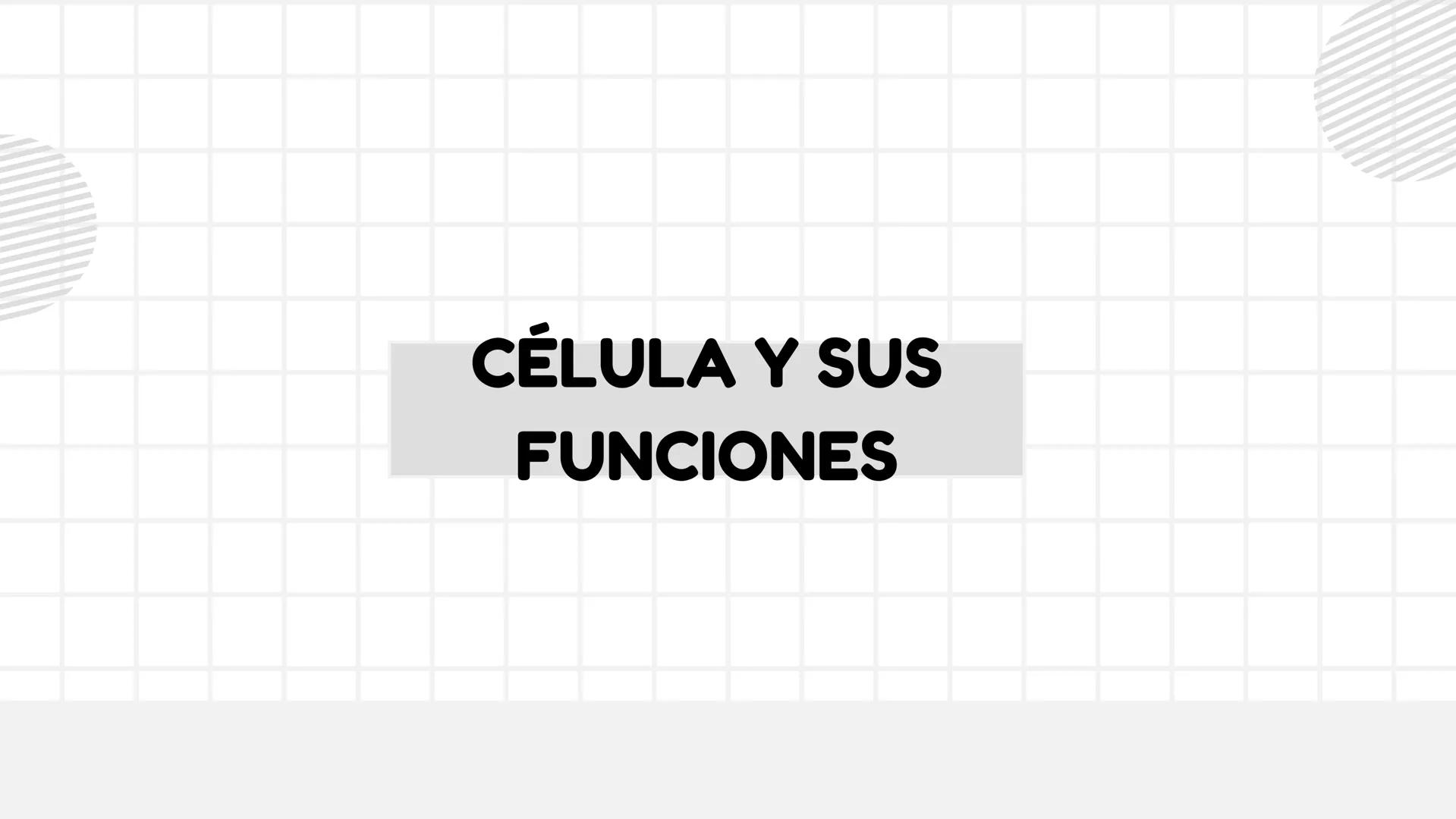 # UNIDAD 1
# T1. CÉLULA:
## SUS FUNCIONES Y ORGANIZACIÓN
## FUNCIONAL
FISIOLOGIA HUMANA # CONTENIDO
ORGANIZACION
Líquido
extracelular
L