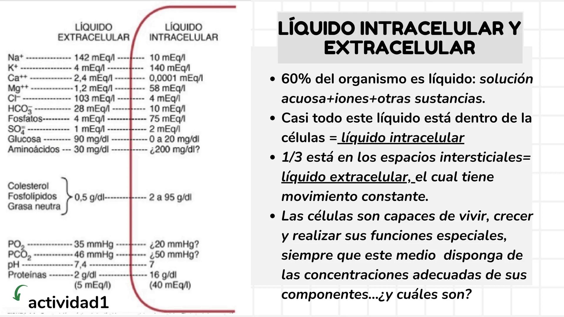 # UNIDAD 1
# T1. CÉLULA:
## SUS FUNCIONES Y ORGANIZACIÓN
## FUNCIONAL
FISIOLOGIA HUMANA # CONTENIDO
ORGANIZACION
Líquido
extracelular
L