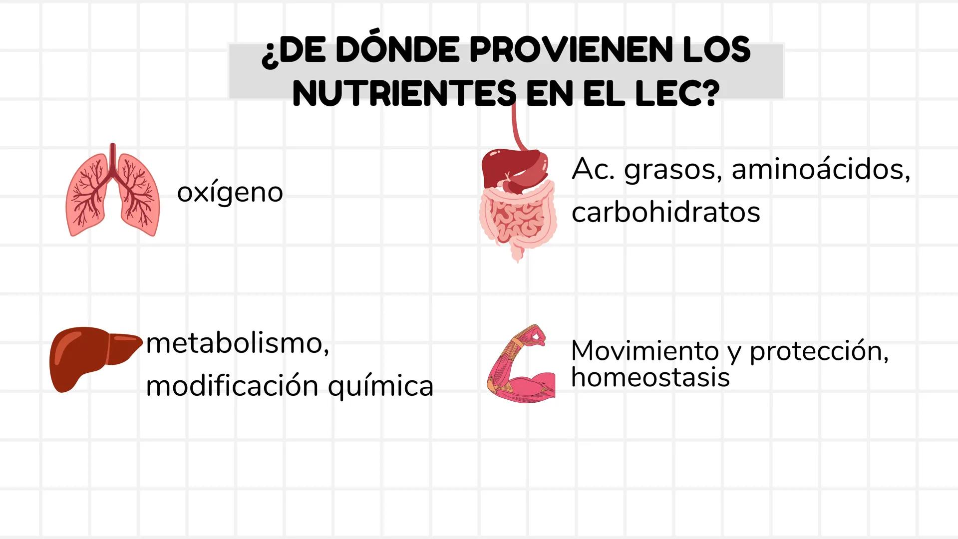 # UNIDAD 1
# T1. CÉLULA:
## SUS FUNCIONES Y ORGANIZACIÓN
## FUNCIONAL
FISIOLOGIA HUMANA # CONTENIDO
ORGANIZACION
Líquido
extracelular
L