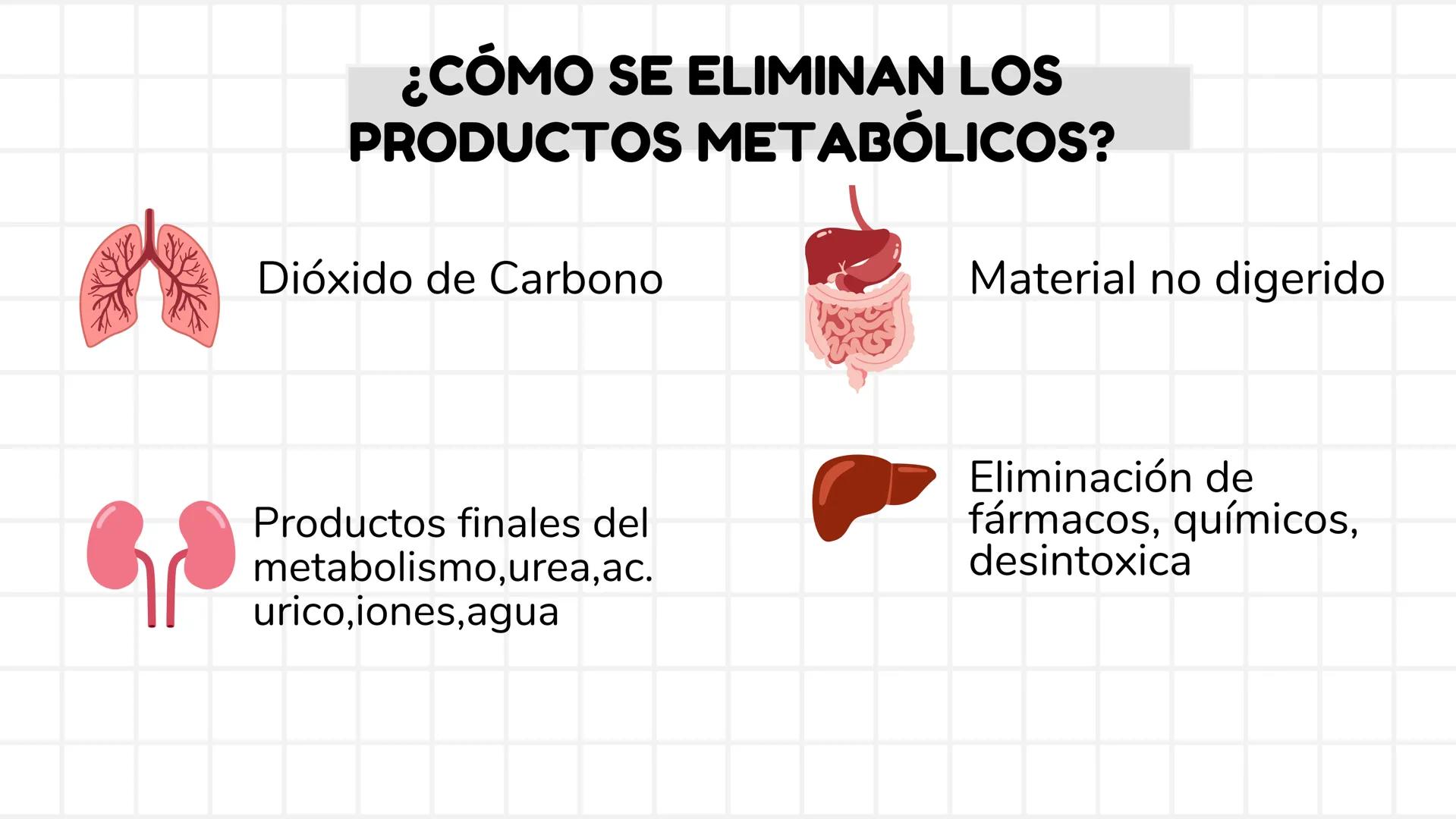 # UNIDAD 1
# T1. CÉLULA:
## SUS FUNCIONES Y ORGANIZACIÓN
## FUNCIONAL
FISIOLOGIA HUMANA # CONTENIDO
ORGANIZACION
Líquido
extracelular
L
