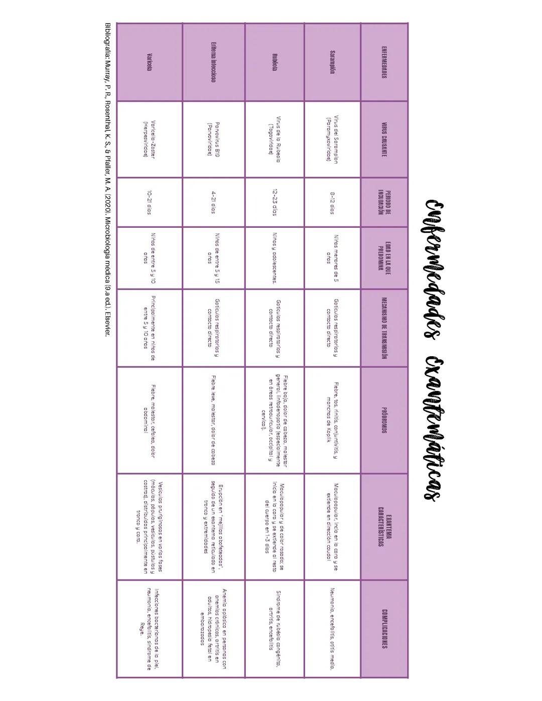 Enfermedades Exantemáticas