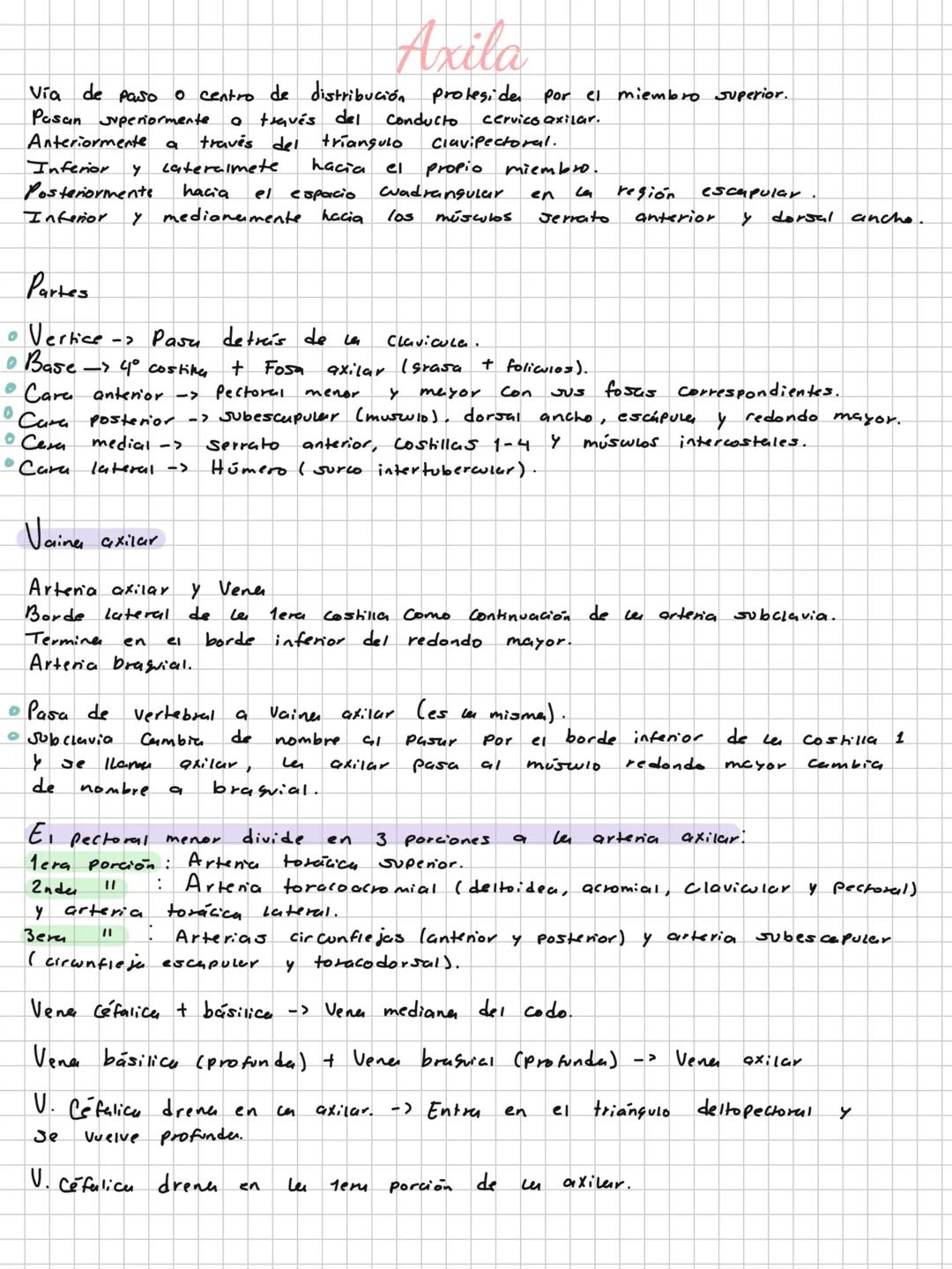 Conceptos básicos
Anatomía:
Anatomía macro y microscopica: Macro Grande -7 órganos / Micro-> Células -> etc.
Terminología: Forma, tamaño,