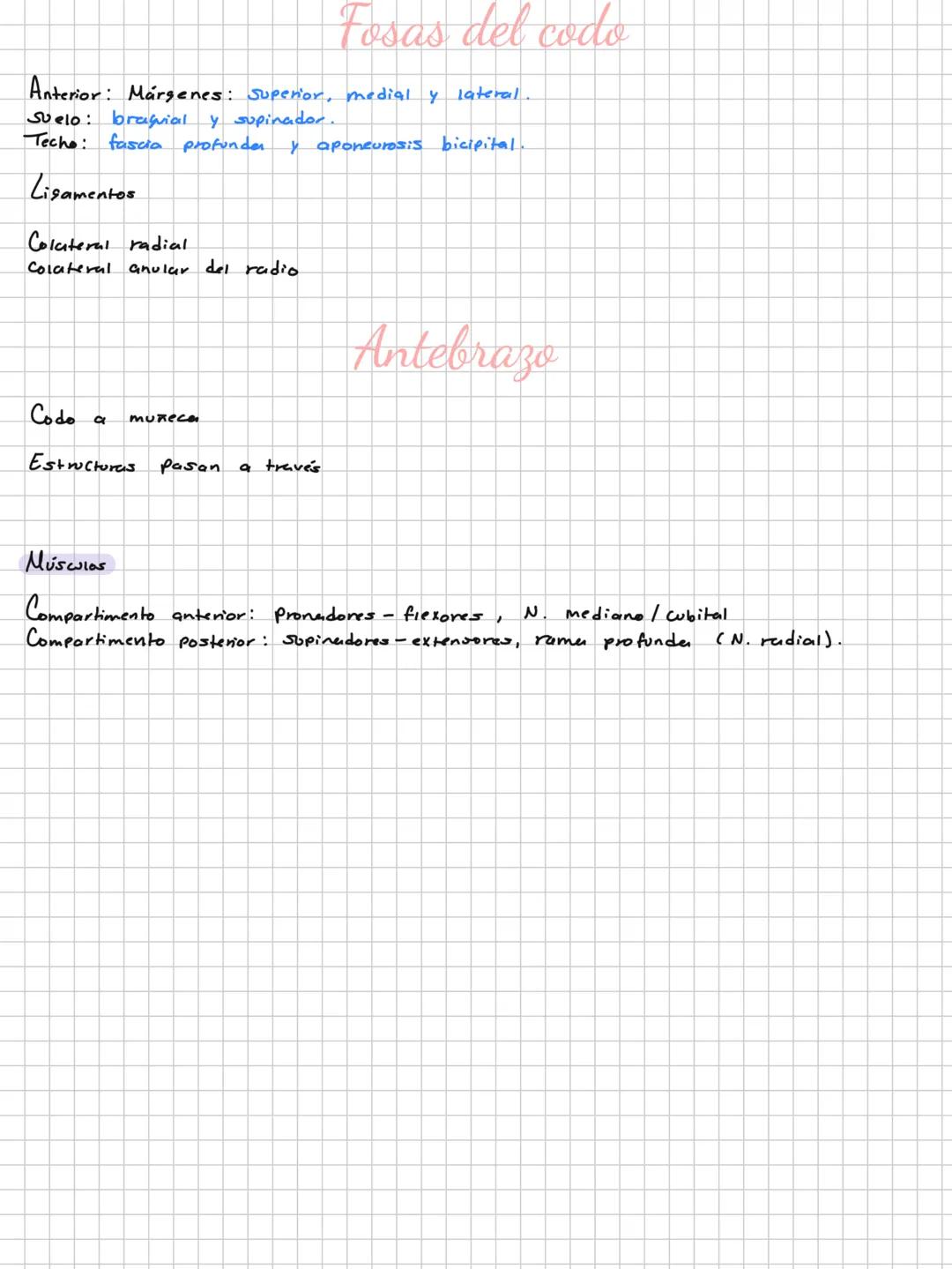 Conceptos básicos
Anatomía:
Anatomía macro y microscopica: Macro Grande -7 órganos / Micro-> Células -> etc.
Terminología: Forma, tamaño,