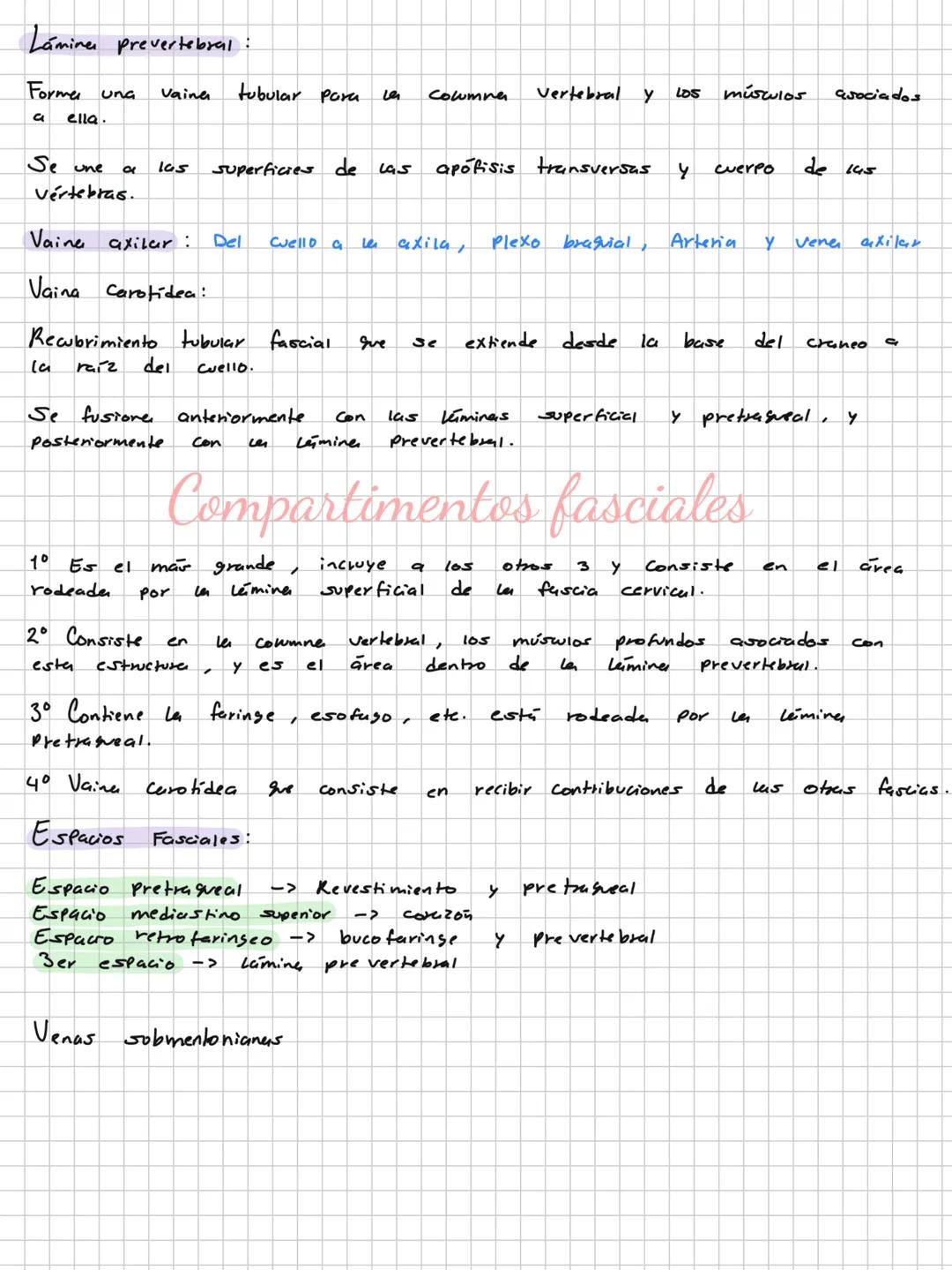 Conceptos básicos
Anatomía:
Anatomía macro y microscopica: Macro Grande -7 órganos / Micro-> Células -> etc.
Terminología: Forma, tamaño,
