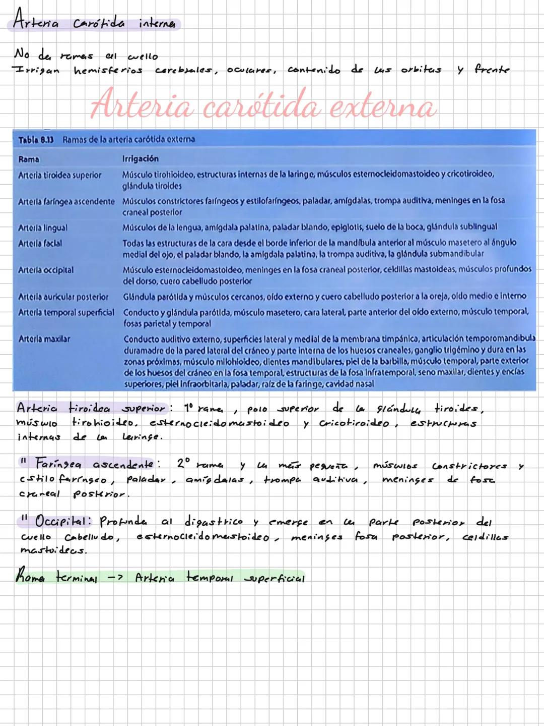 Conceptos básicos
Anatomía:
Anatomía macro y microscopica: Macro Grande -7 órganos / Micro-> Células -> etc.
Terminología: Forma, tamaño,