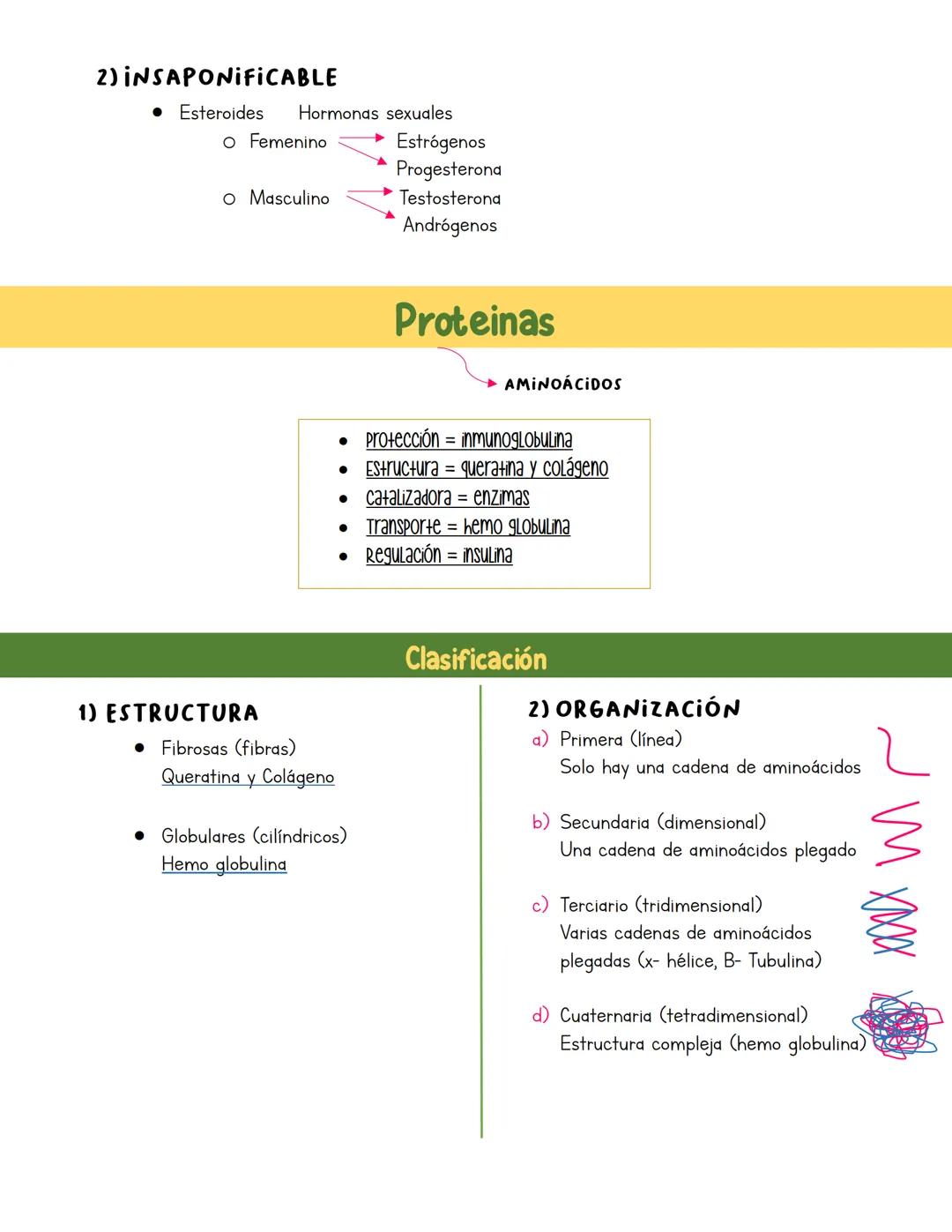 # Biomoleculas
Vitaminas
Moléculas orgánicas, esenciales para La vida pero en menos cantidad.
Clasificación
1) HIDROSOLUBLES (se disuelv
