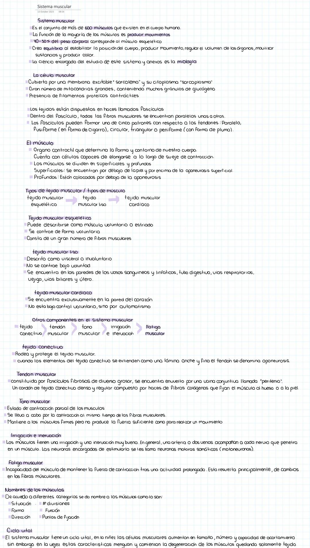 Sistema muscular
Sistema muscular
Es el conjunto de más de 600 músculos que existen en el cuerpo humano
La función de la mayoría de los músc