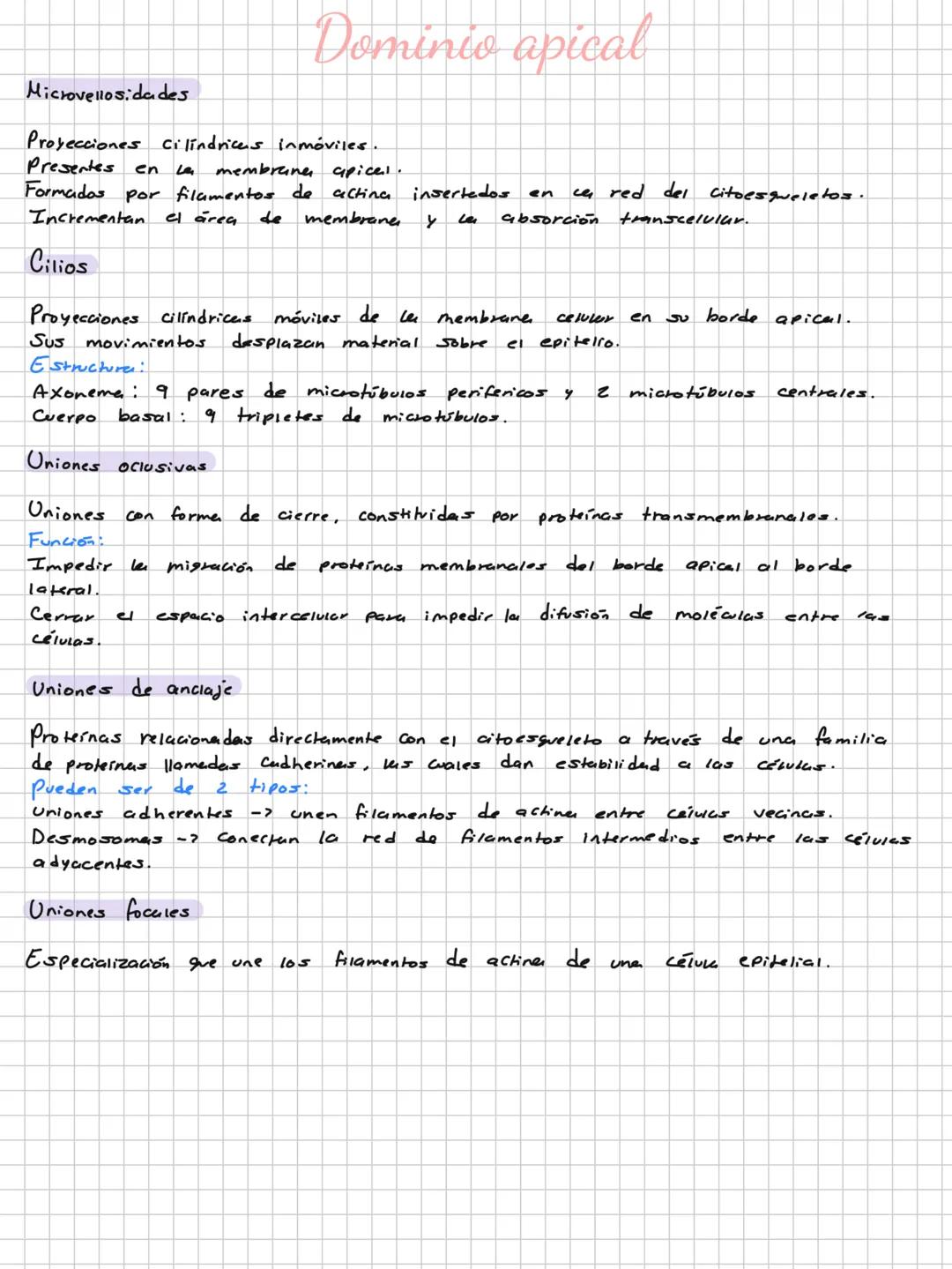 # Niveles de organización
Materia
P. subatomica.
Atómo -> Elementos biogenesicos.
Molécula -> Biomolewias.
Células
Tejidos -> Epitelial