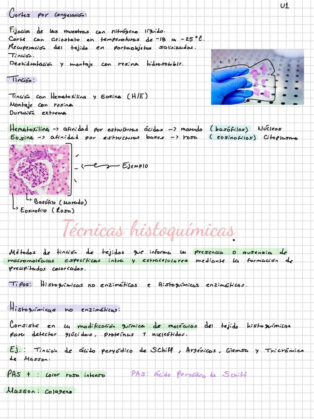 # Niveles de organización
Materia
P. subatomica.
Atómo -> Elementos biogenesicos.
Molécula -> Biomolewias.
Células
Tejidos -> Epitelial