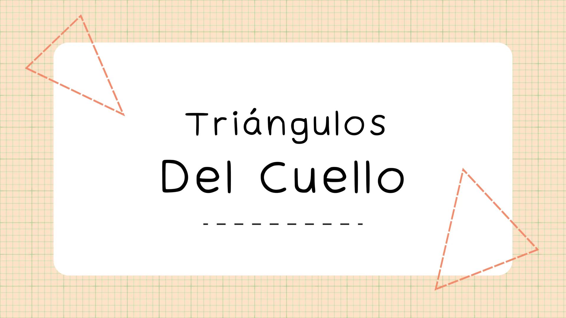 Triángulos
Del Cuello Región del Cuello
El cuello es la región del
cuerpo
entre
la
comprendida
cabeza y el
m. mylohyoideus-
processus mastoi