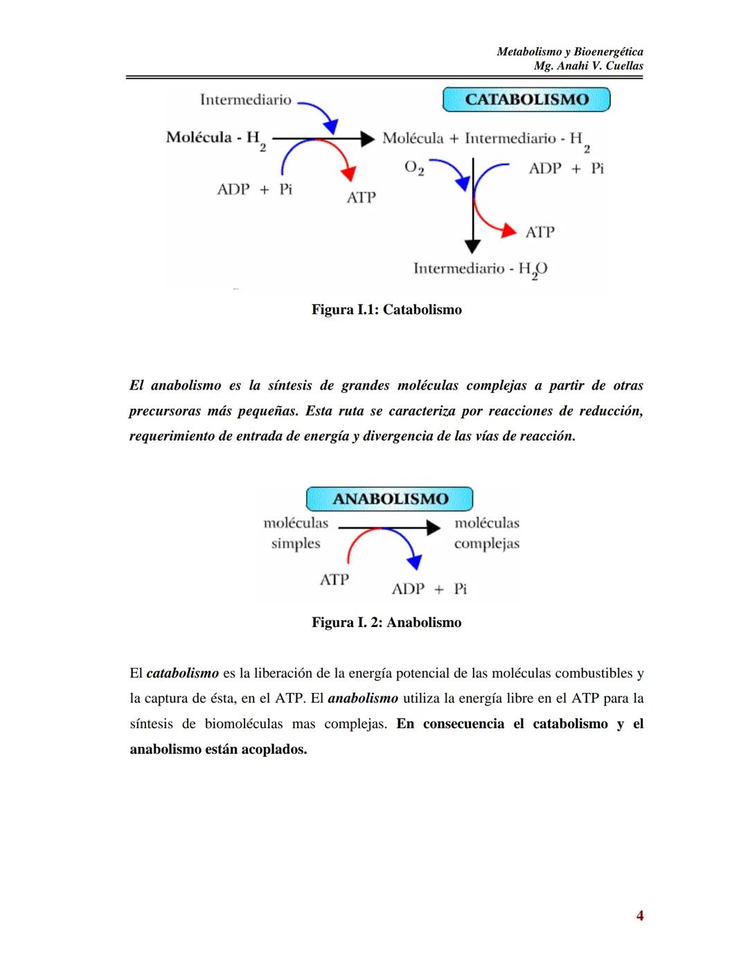 BIOQUÍMICA DE LOS ALIMENTOS
Metabolismo y Bioenergética
Mg. Anahi V. Cuellas
METABOLISMO
Y
BIOENERGETICA
Contenido:
I- Metabolismo:
As
