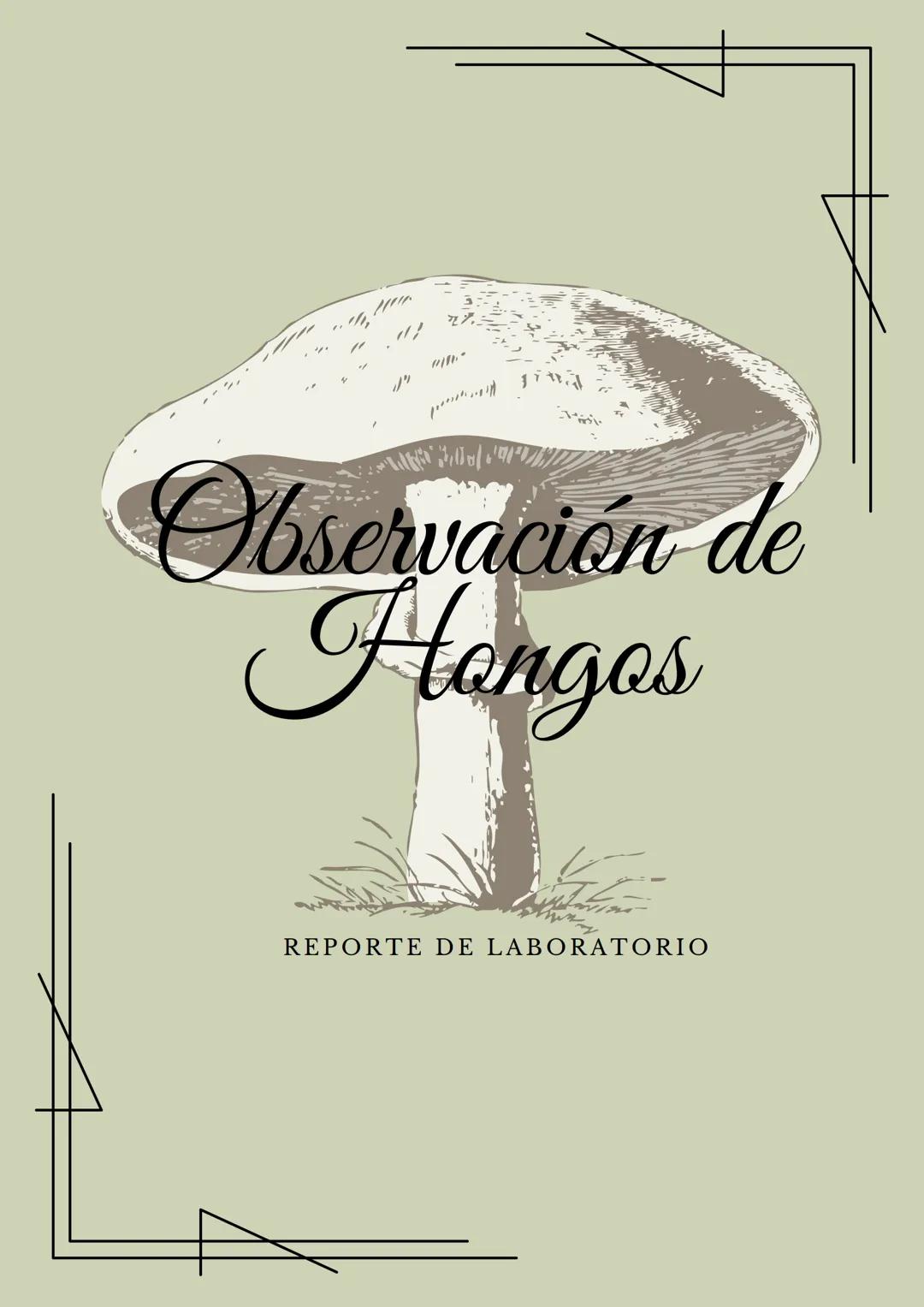 Observación de
Hongos
REPORTE DE LABORATORIO MICROBIOLOGIA
GRUPO 1-B
# Observación de Moho y Levaduras
REPORTÉ DEL LABORATORIO
## Introduc