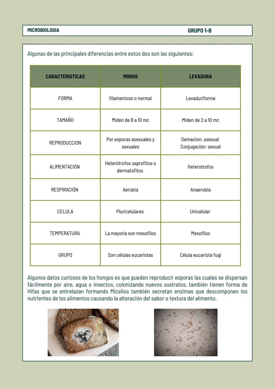 Observación de
Hongos
REPORTE DE LABORATORIO MICROBIOLOGIA
GRUPO 1-B
# Observación de Moho y Levaduras
REPORTÉ DEL LABORATORIO
## Introduc