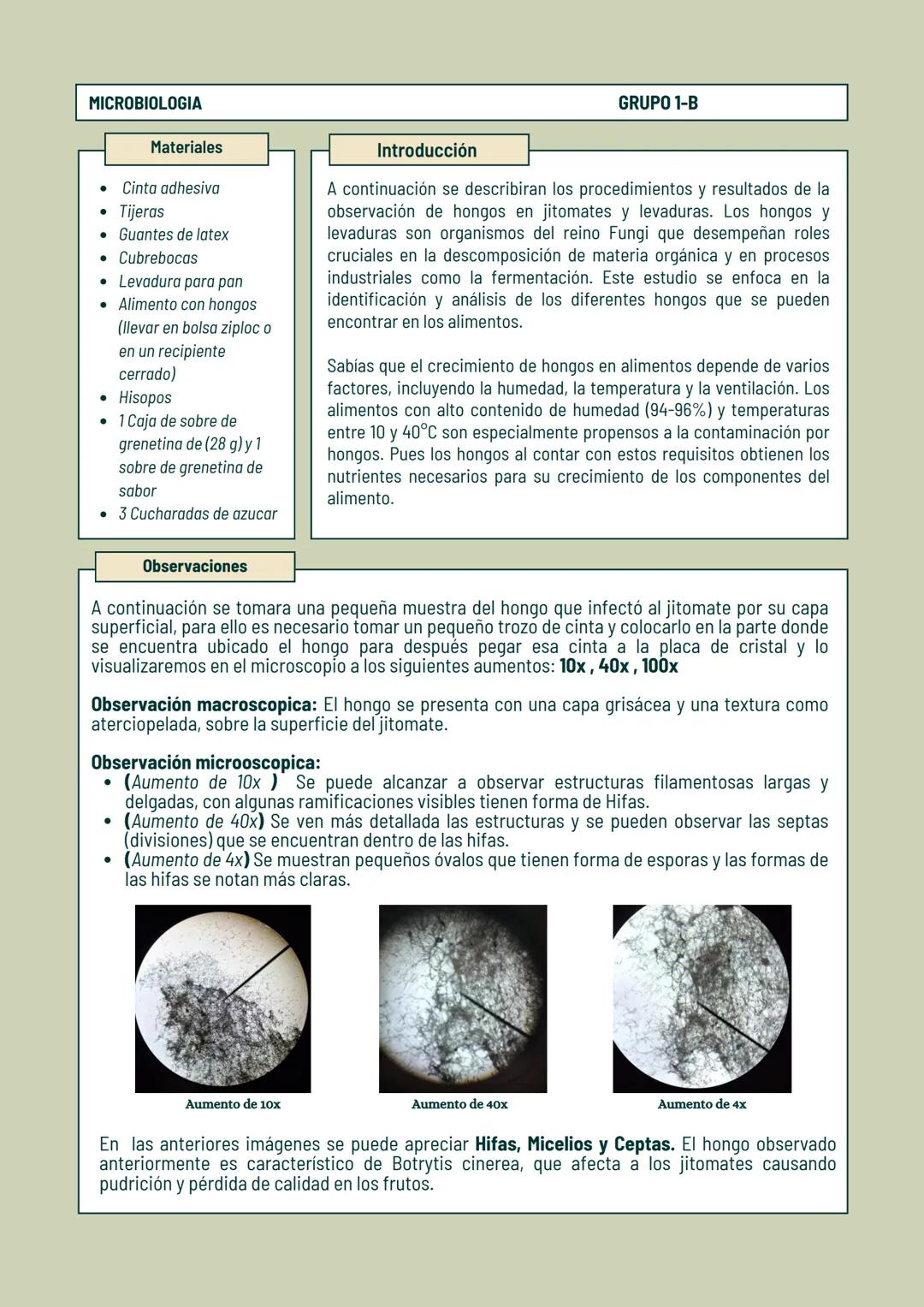 Observación de
Hongos
REPORTE DE LABORATORIO MICROBIOLOGIA
GRUPO 1-B
# Observación de Moho y Levaduras
REPORTÉ DEL LABORATORIO
## Introduc