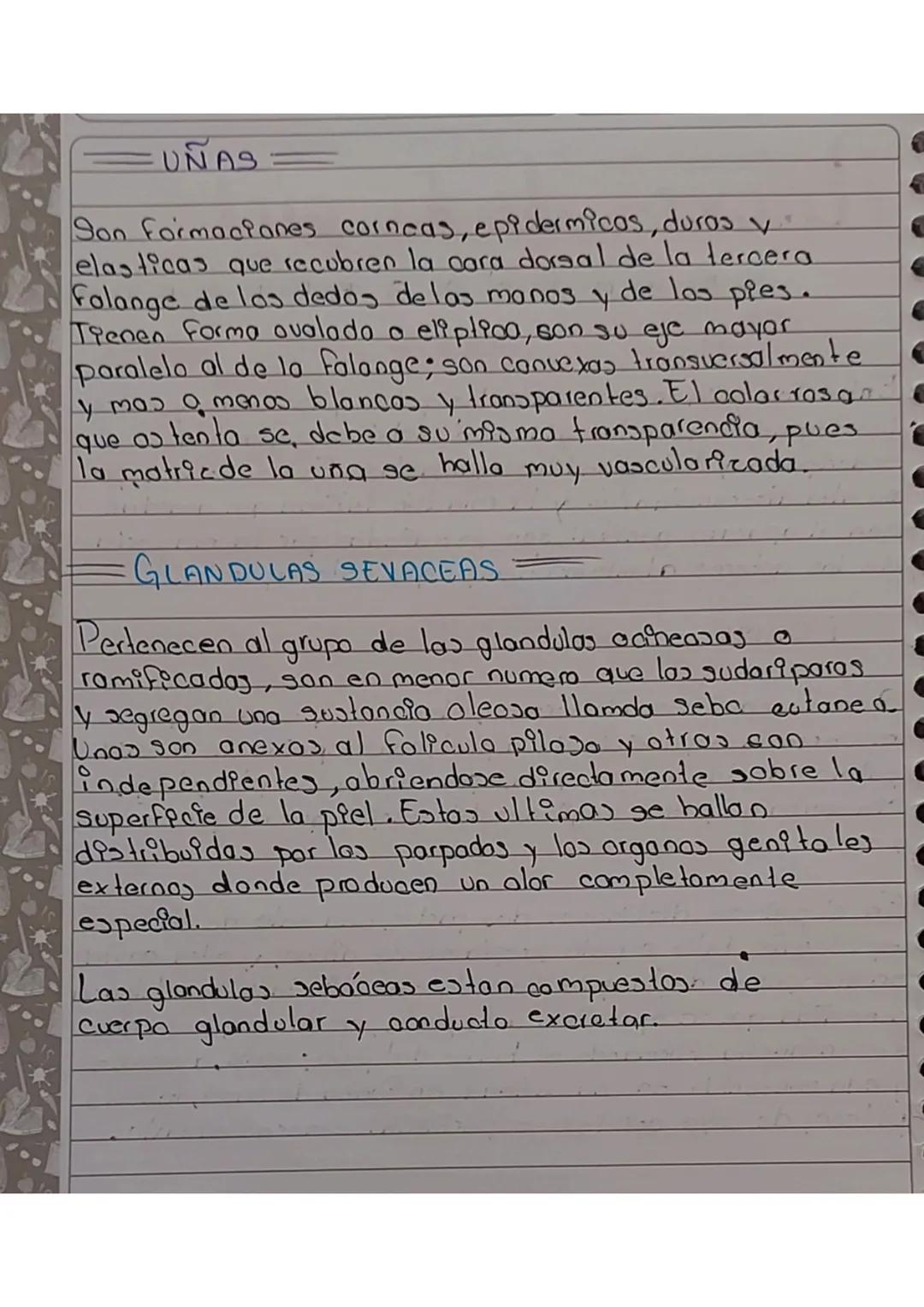 •Anexos de la piel
D
几
8 EP
DERM ce
Entre los primeros tenemos los pelos y las uñas, y entre
los segundos estan las glandulas sebáceas, glan