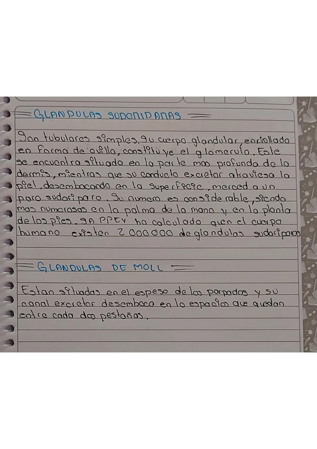 •Anexos de la piel
D
几
8 EP
DERM ce
Entre los primeros tenemos los pelos y las uñas, y entre
los segundos estan las glandulas sebáceas, glan