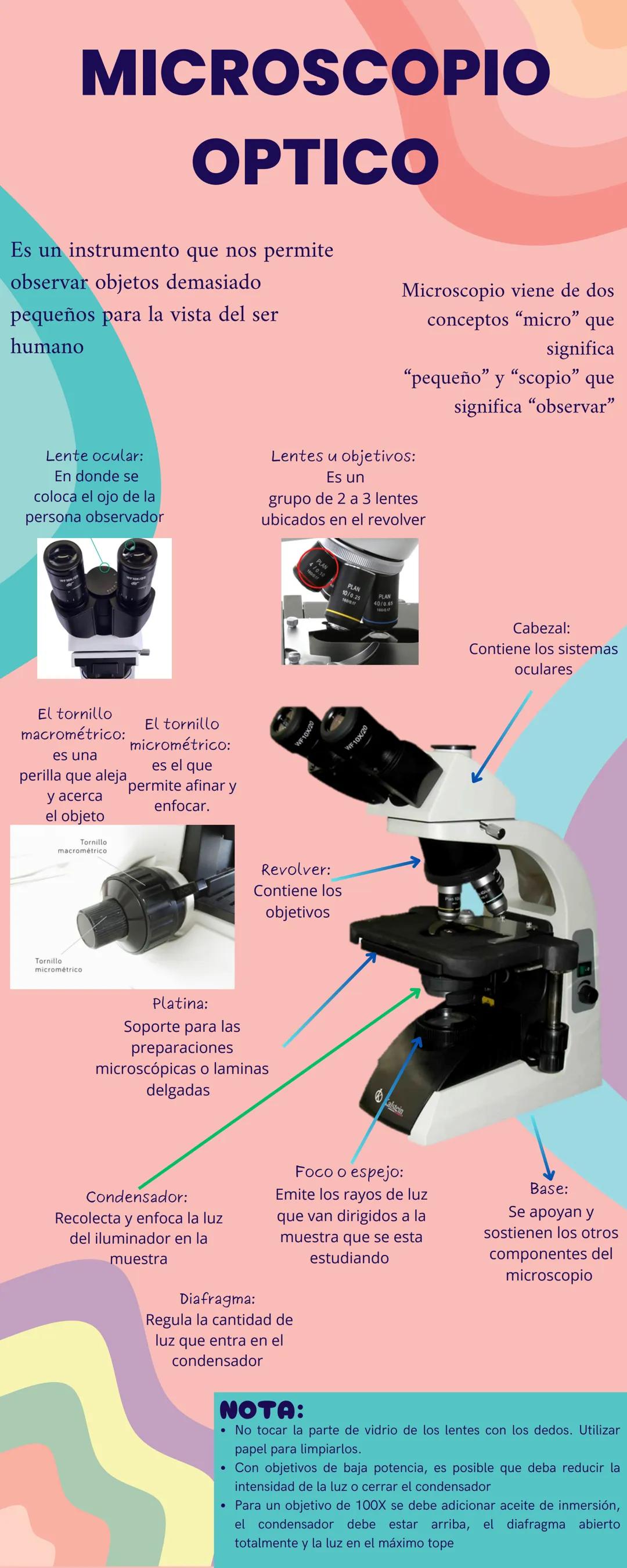 # MICROSCOPIO
OPTICO
Es un instrumento que nos permite
observar objetos demasiado
pequeños para la vista del ser
humano
Microscopio viene