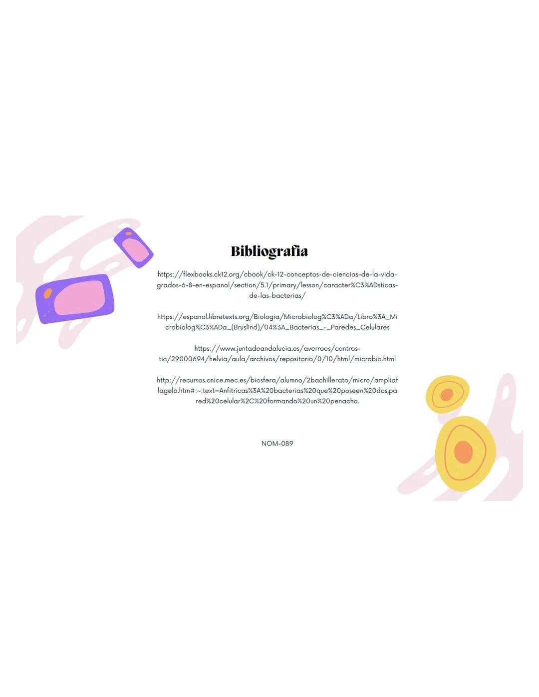 EQUIPO 2
Anatomia bacteriana mmm
Contenidos.
1. Anatomía Bacteriana y de hongos
2. Clasificación por pared celular
3. Tinción de Gram.
4.