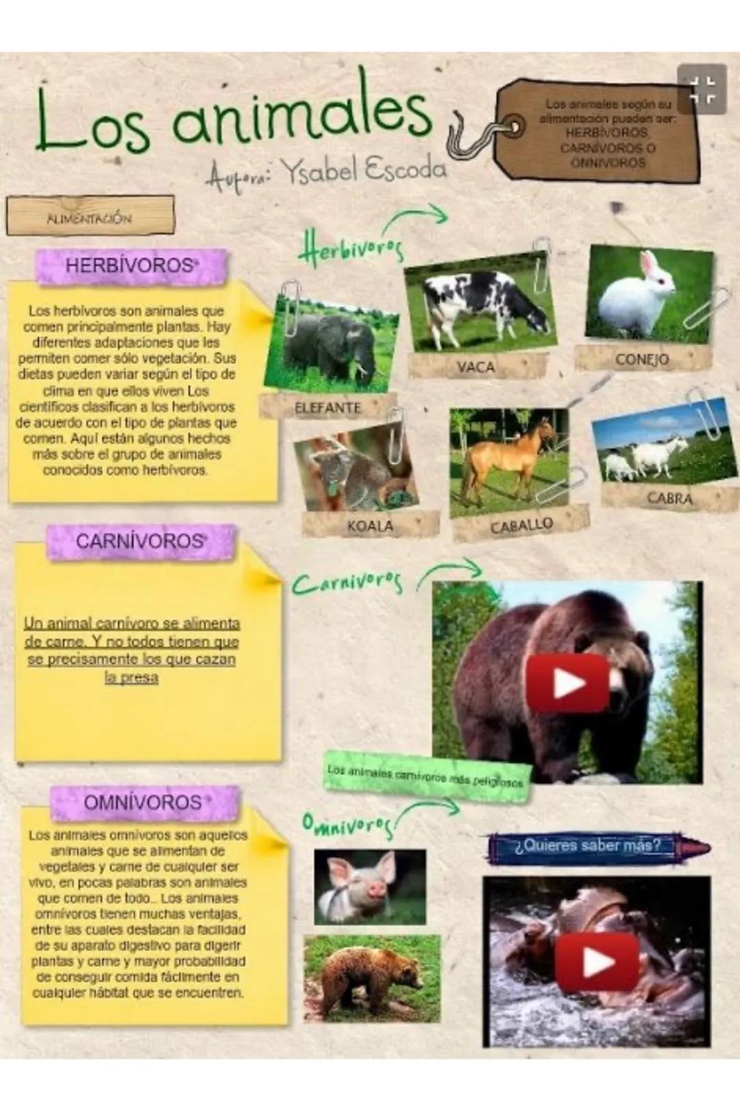 ANIMALES
OVIPAROS
CARACTERÍSTICAS
LO
2
3
NACEN DE
HUEVO
PRESENTAN
MUCHAS
ESPECIES
SE
DESARROLLAN
FUERA DE LA
MADRE
LAS CRIAS AL
NACER SON
IN