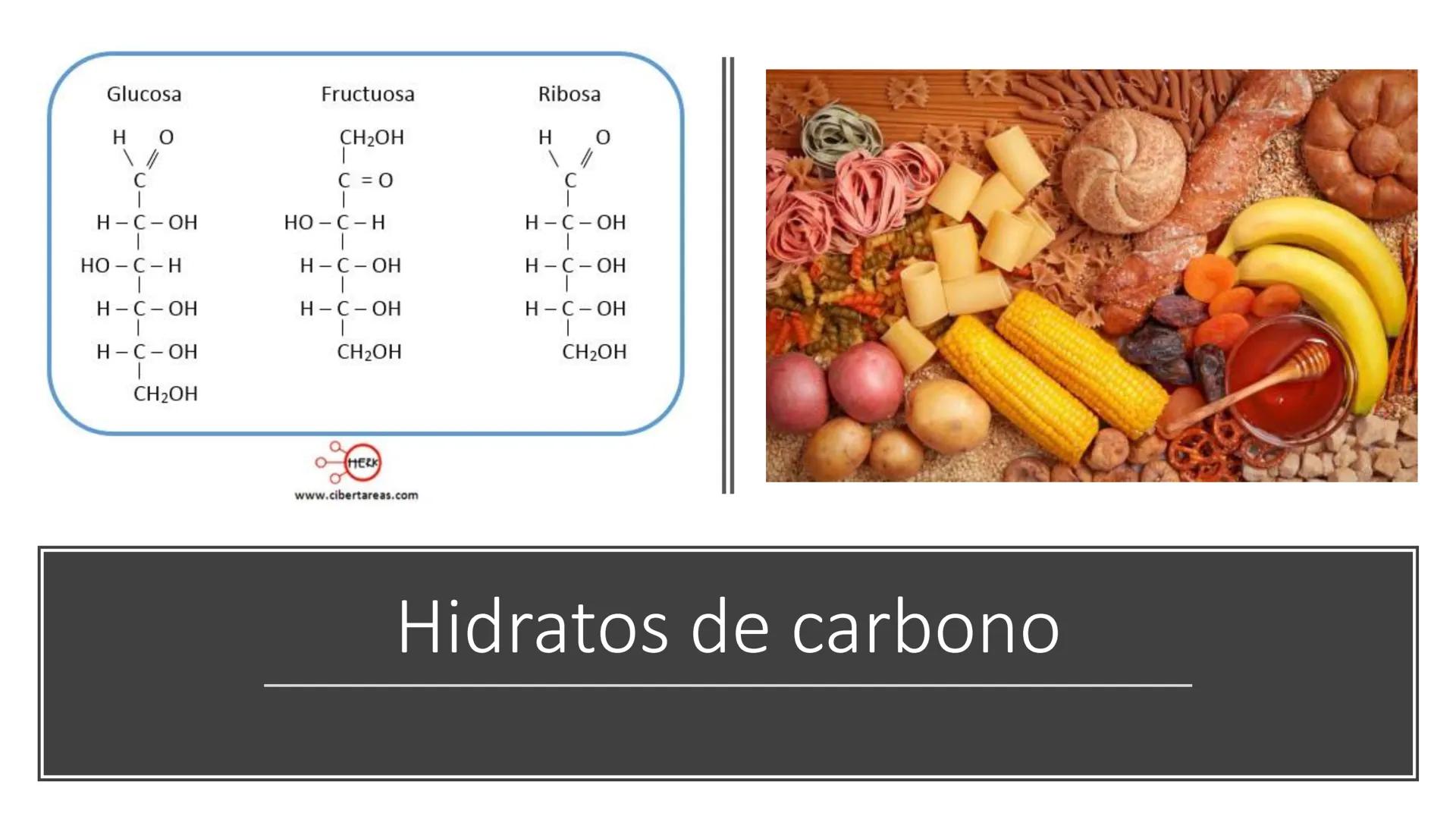 Glucosa
Fructuosa
Ribosa
HO
CH2OH
H
O
C
C = O
C
H-C-OH
HO-C-H
H-C-OH
HO-C-H
H-C-OH
H-C-OH
H-C-OH
H-C-OH
H-C-OH
☐
H-C-OH
CH2OH
CH2OH
CH2OH
a