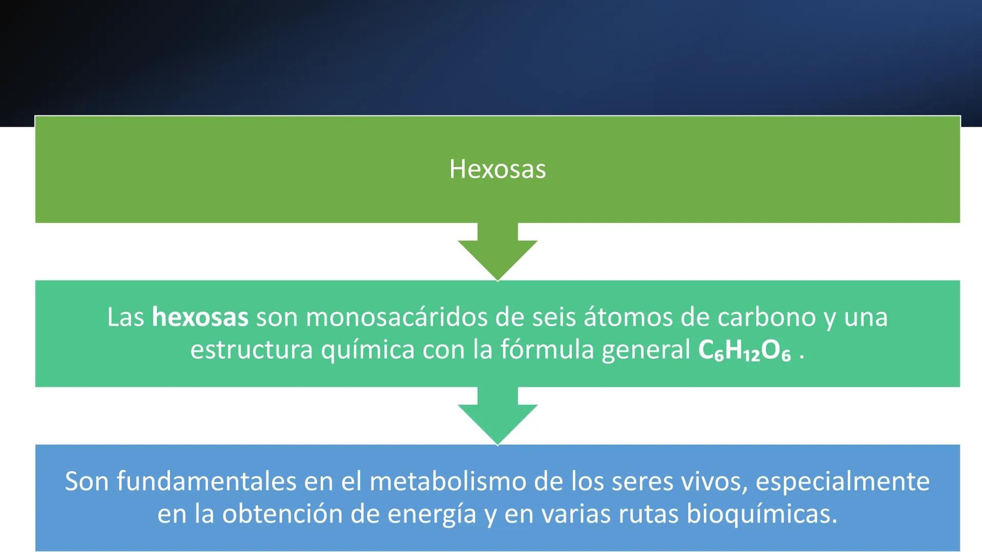 Glucosa
Fructuosa
Ribosa
HO
CH2OH
H
O
C
C = O
C
H-C-OH
HO-C-H
H-C-OH
HO-C-H
H-C-OH
H-C-OH
H-C-OH
H-C-OH
H-C-OH
☐
H-C-OH
CH2OH
CH2OH
CH2OH
a