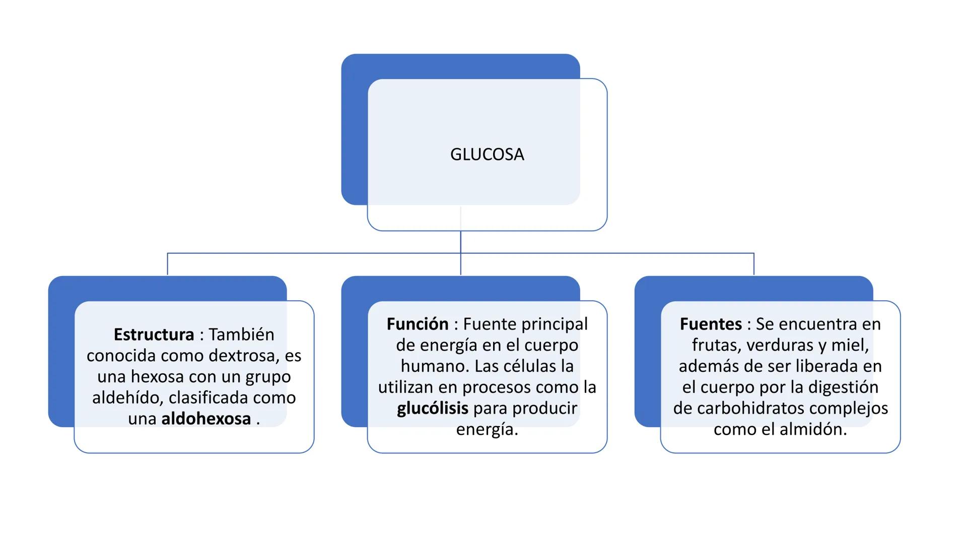 Glucosa
Fructuosa
Ribosa
HO
CH2OH
H
O
C
C = O
C
H-C-OH
HO-C-H
H-C-OH
HO-C-H
H-C-OH
H-C-OH
H-C-OH
H-C-OH
H-C-OH
☐
H-C-OH
CH2OH
CH2OH
CH2OH
a