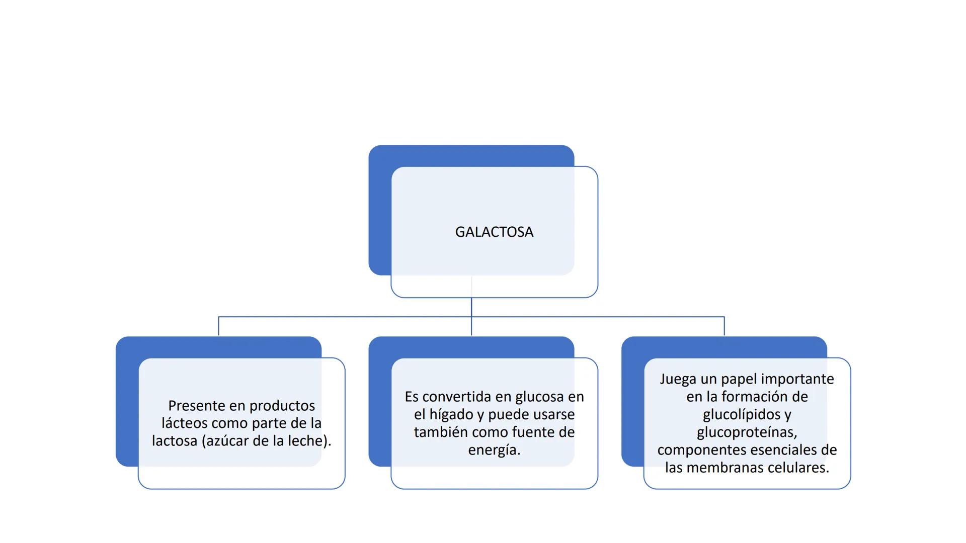 Glucosa
Fructuosa
Ribosa
HO
CH2OH
H
O
C
C = O
C
H-C-OH
HO-C-H
H-C-OH
HO-C-H
H-C-OH
H-C-OH
H-C-OH
H-C-OH
H-C-OH
☐
H-C-OH
CH2OH
CH2OH
CH2OH
a