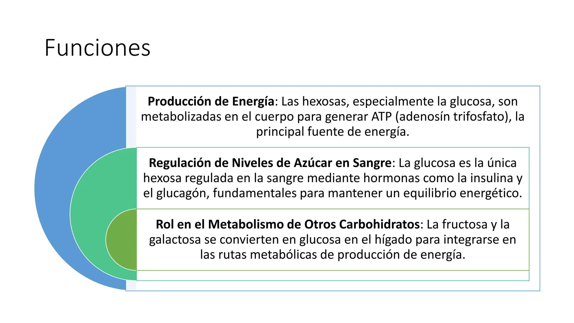Glucosa
Fructuosa
Ribosa
HO
CH2OH
H
O
C
C = O
C
H-C-OH
HO-C-H
H-C-OH
HO-C-H
H-C-OH
H-C-OH
H-C-OH
H-C-OH
H-C-OH
☐
H-C-OH
CH2OH
CH2OH
CH2OH
a