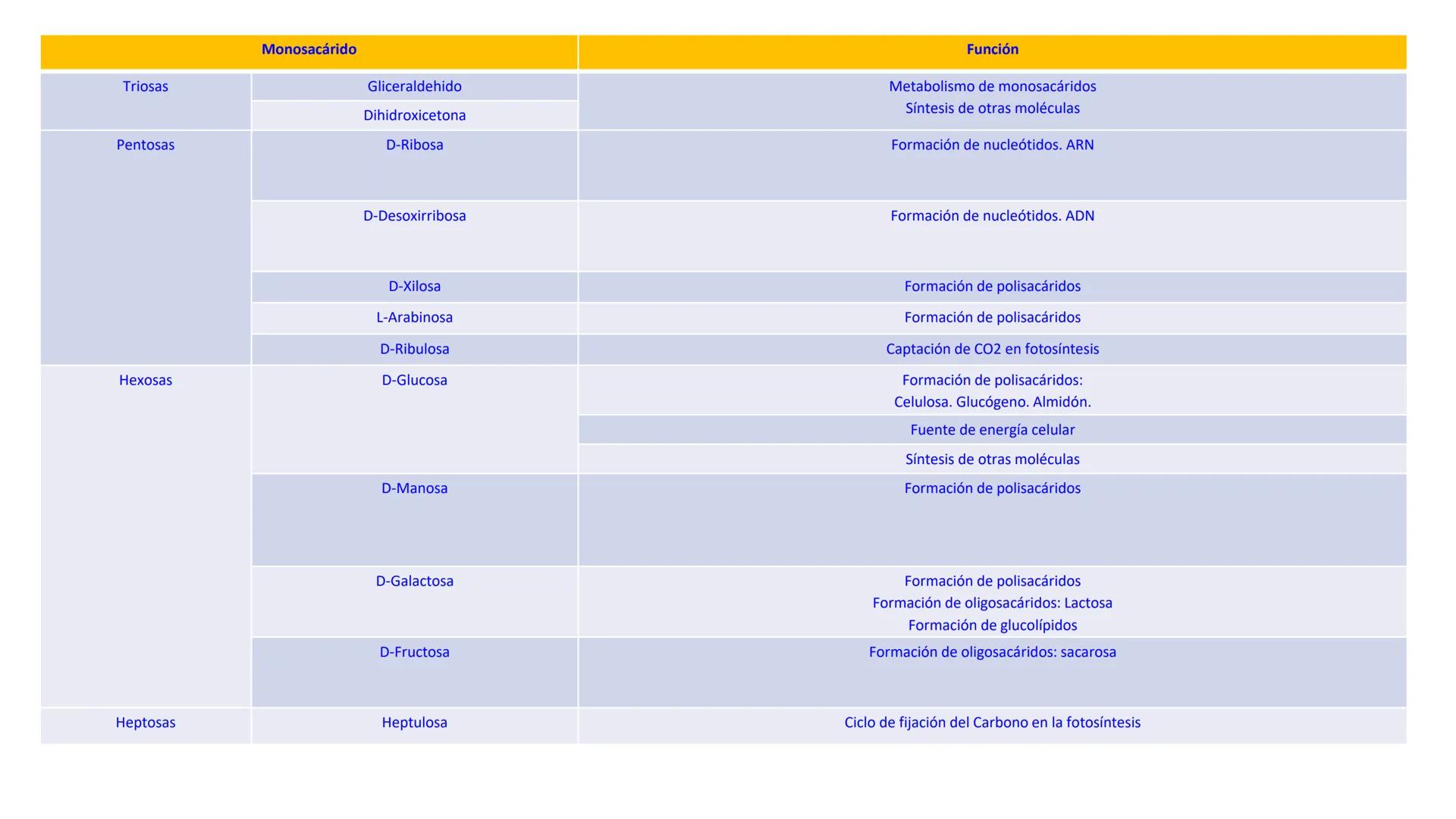 Glucosa
Fructuosa
Ribosa
HO
CH2OH
H
O
C
C = O
C
H-C-OH
HO-C-H
H-C-OH
HO-C-H
H-C-OH
H-C-OH
H-C-OH
H-C-OH
H-C-OH
☐
H-C-OH
CH2OH
CH2OH
CH2OH
a
