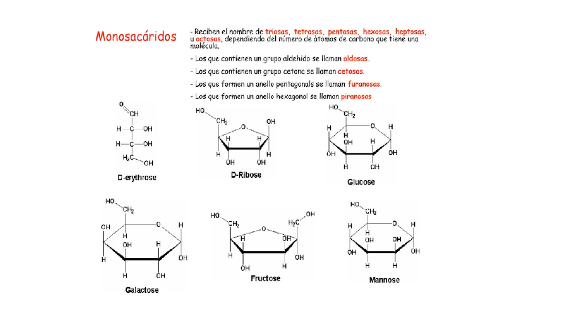 Glucosa
Fructuosa
Ribosa
HO
CH2OH
H
O
C
C = O
C
H-C-OH
HO-C-H
H-C-OH
HO-C-H
H-C-OH
H-C-OH
H-C-OH
H-C-OH
H-C-OH
☐
H-C-OH
CH2OH
CH2OH
CH2OH
a
