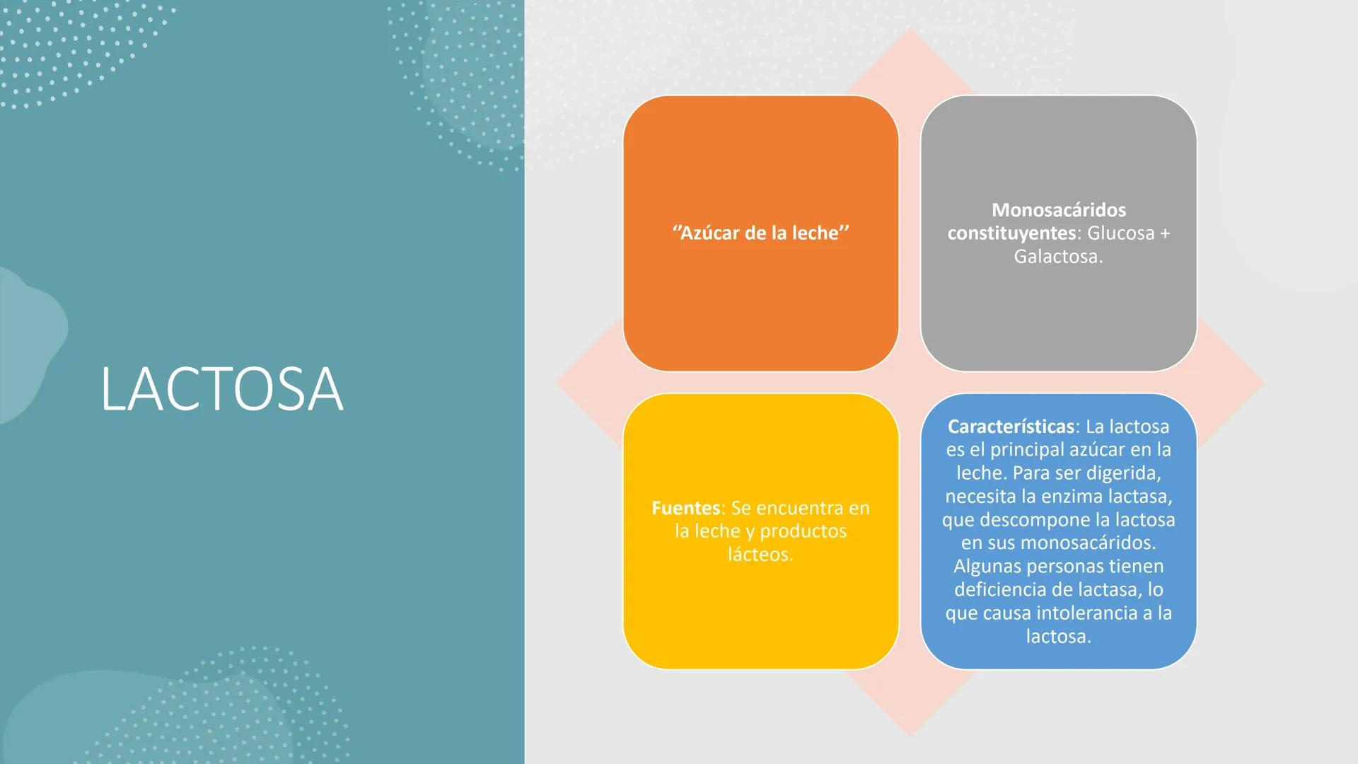 Glucosa
Fructuosa
Ribosa
HO
CH2OH
H
O
C
C = O
C
H-C-OH
HO-C-H
H-C-OH
HO-C-H
H-C-OH
H-C-OH
H-C-OH
H-C-OH
H-C-OH
☐
H-C-OH
CH2OH
CH2OH
CH2OH
a