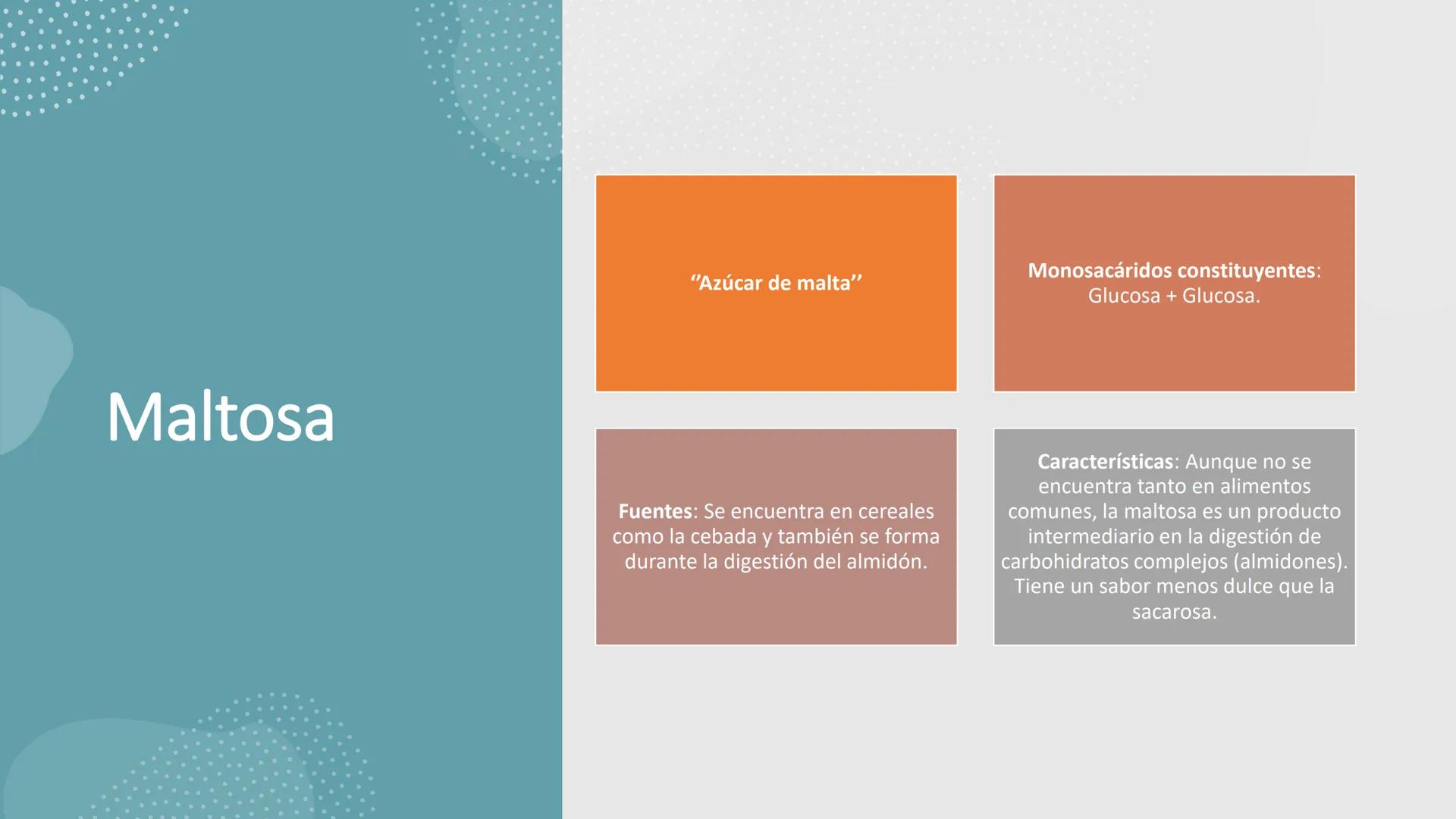 Glucosa
Fructuosa
Ribosa
HO
CH2OH
H
O
C
C = O
C
H-C-OH
HO-C-H
H-C-OH
HO-C-H
H-C-OH
H-C-OH
H-C-OH
H-C-OH
H-C-OH
☐
H-C-OH
CH2OH
CH2OH
CH2OH
a