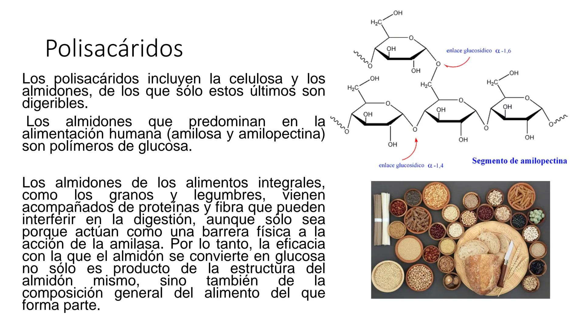 Glucosa
Fructuosa
Ribosa
HO
CH2OH
H
O
C
C = O
C
H-C-OH
HO-C-H
H-C-OH
HO-C-H
H-C-OH
H-C-OH
H-C-OH
H-C-OH
H-C-OH
☐
H-C-OH
CH2OH
CH2OH
CH2OH
a